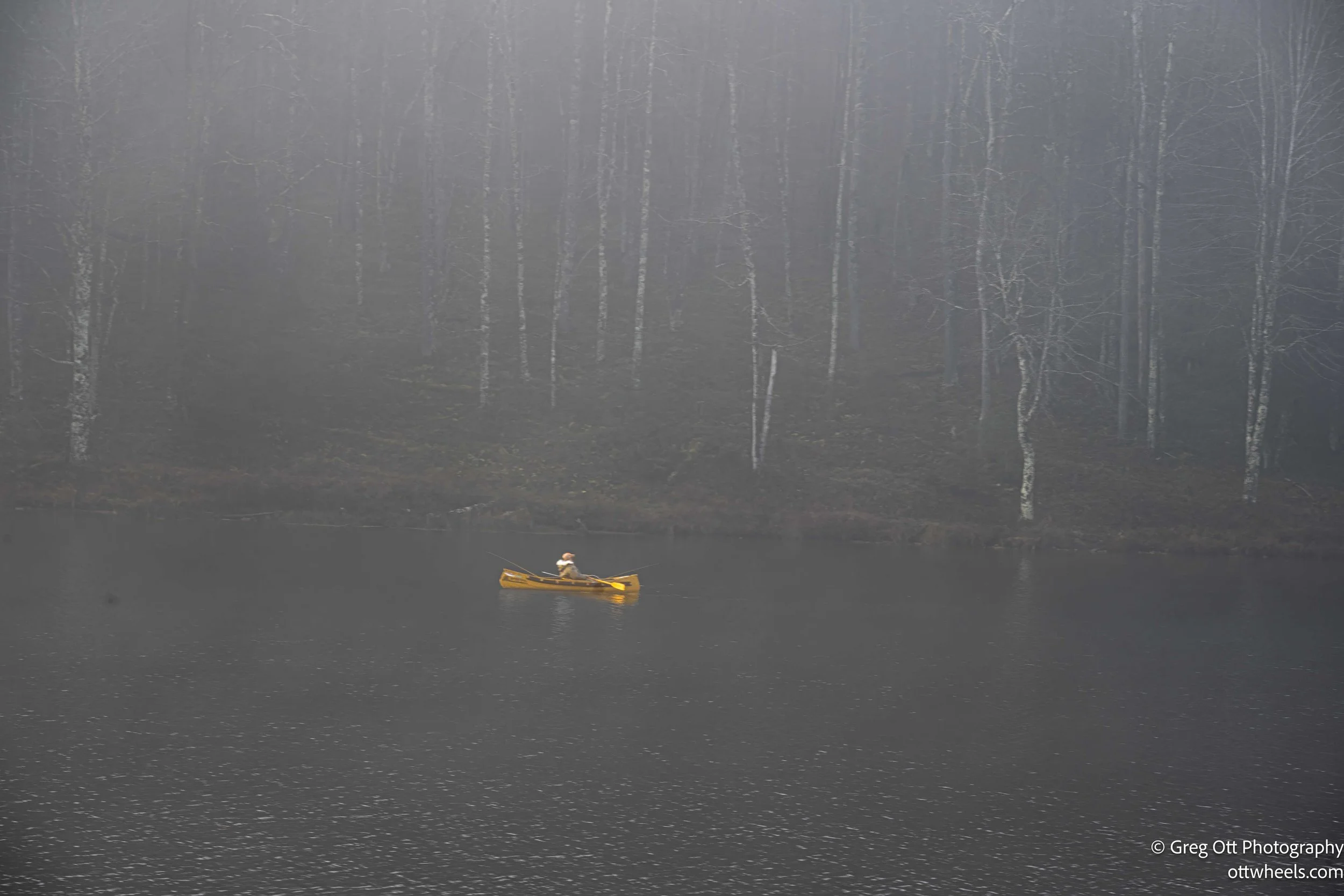 DSC_2341-Edit.jpg