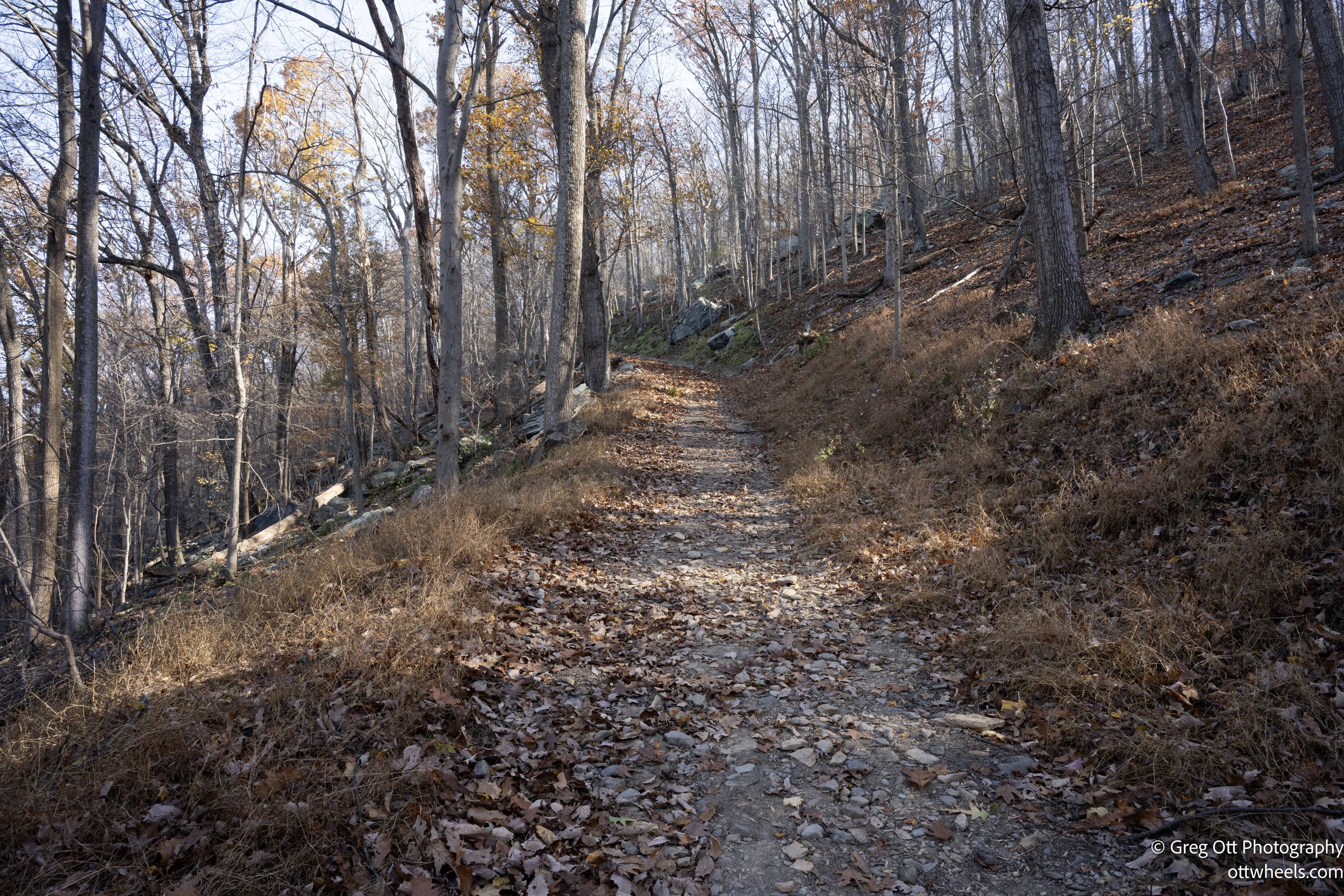 DSC_2517.jpg