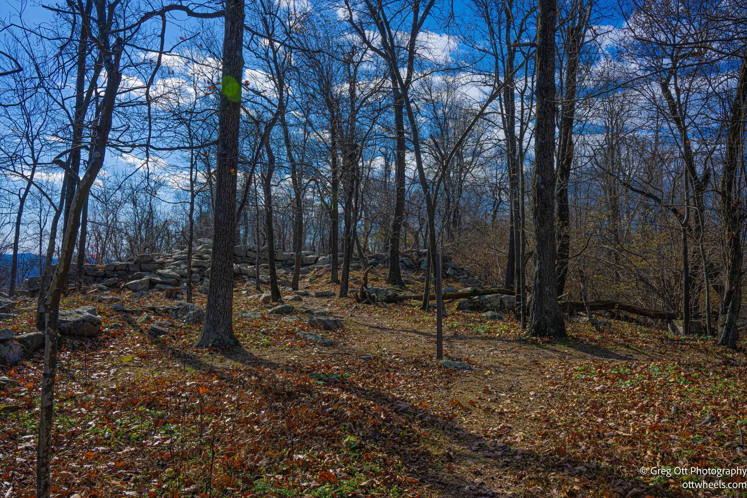 DSC_2520.jpg