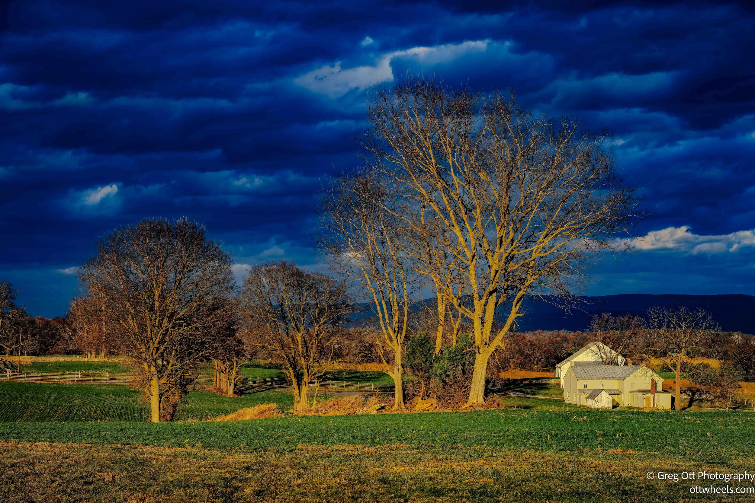 DSC_2587-Edit.jpg