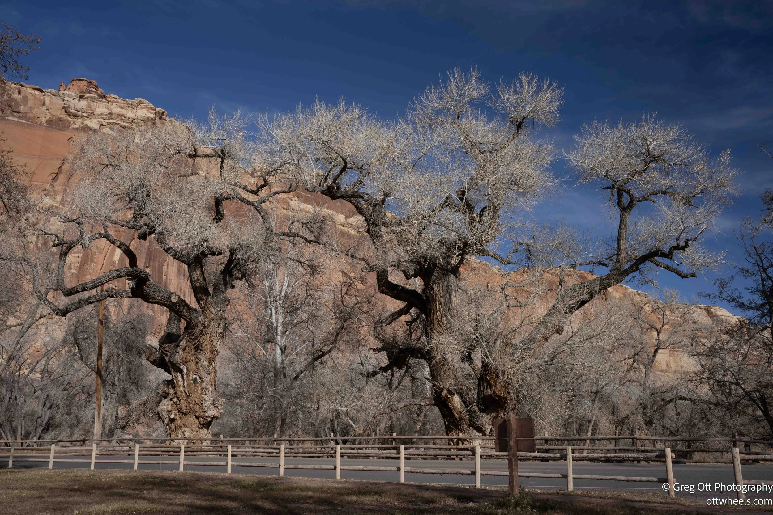 Capitol Reef National Park and Butch Cassidy