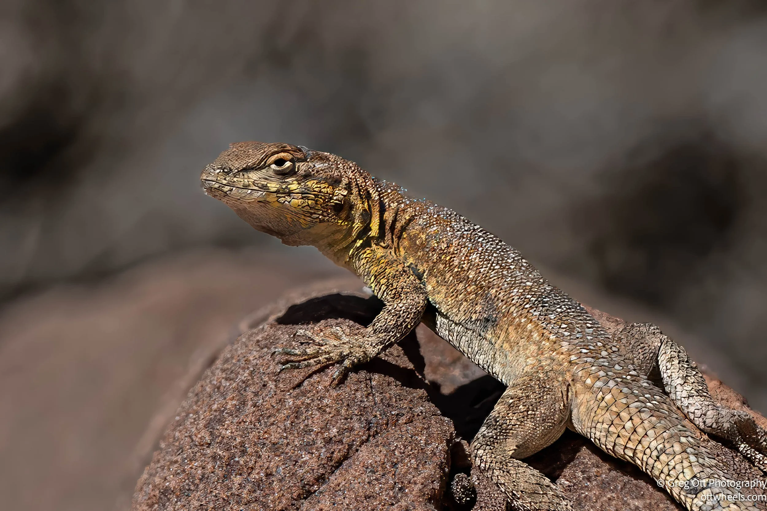 Valley of Fire State Park