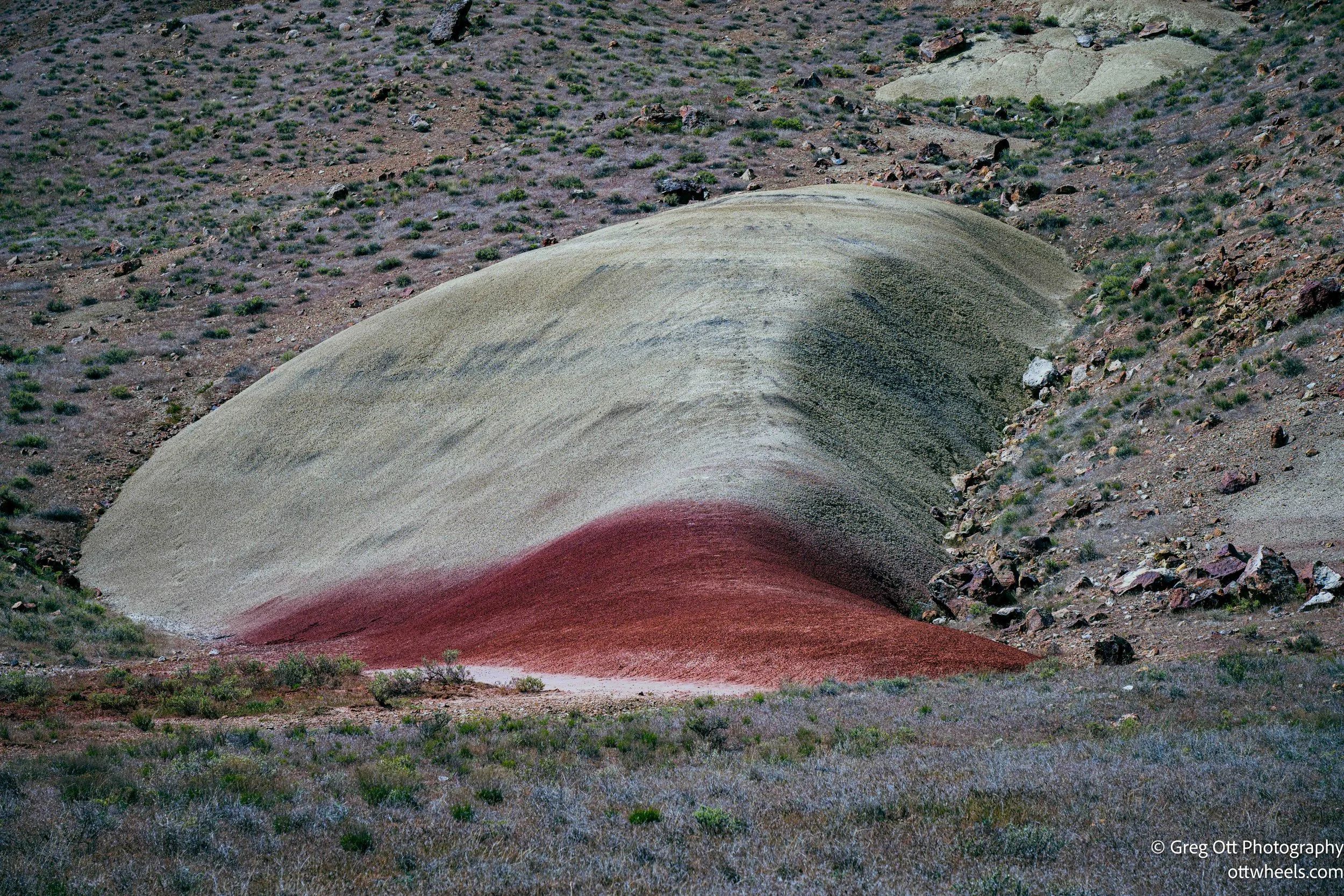 DSC_0828.jpg