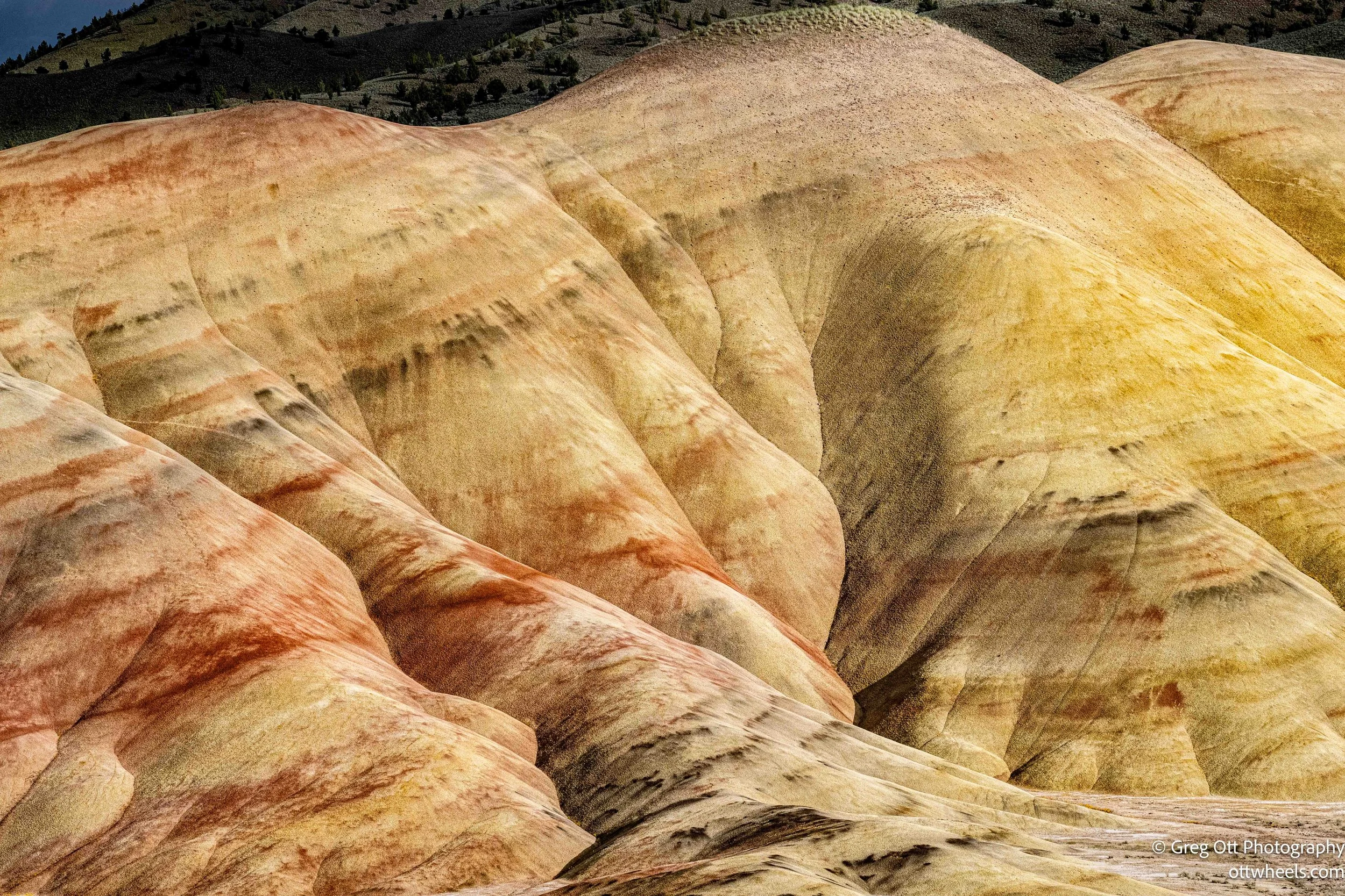 DSC_0985.jpg