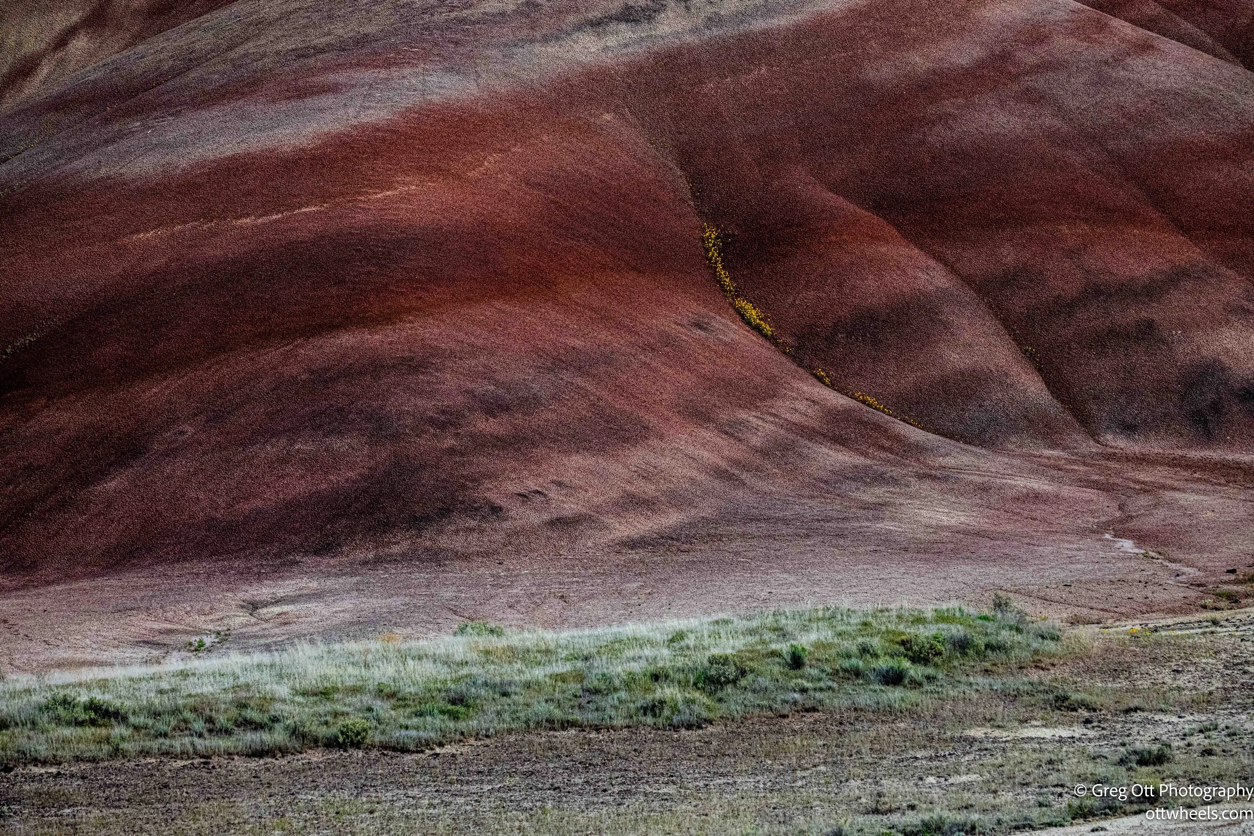 DSC_0976.jpg