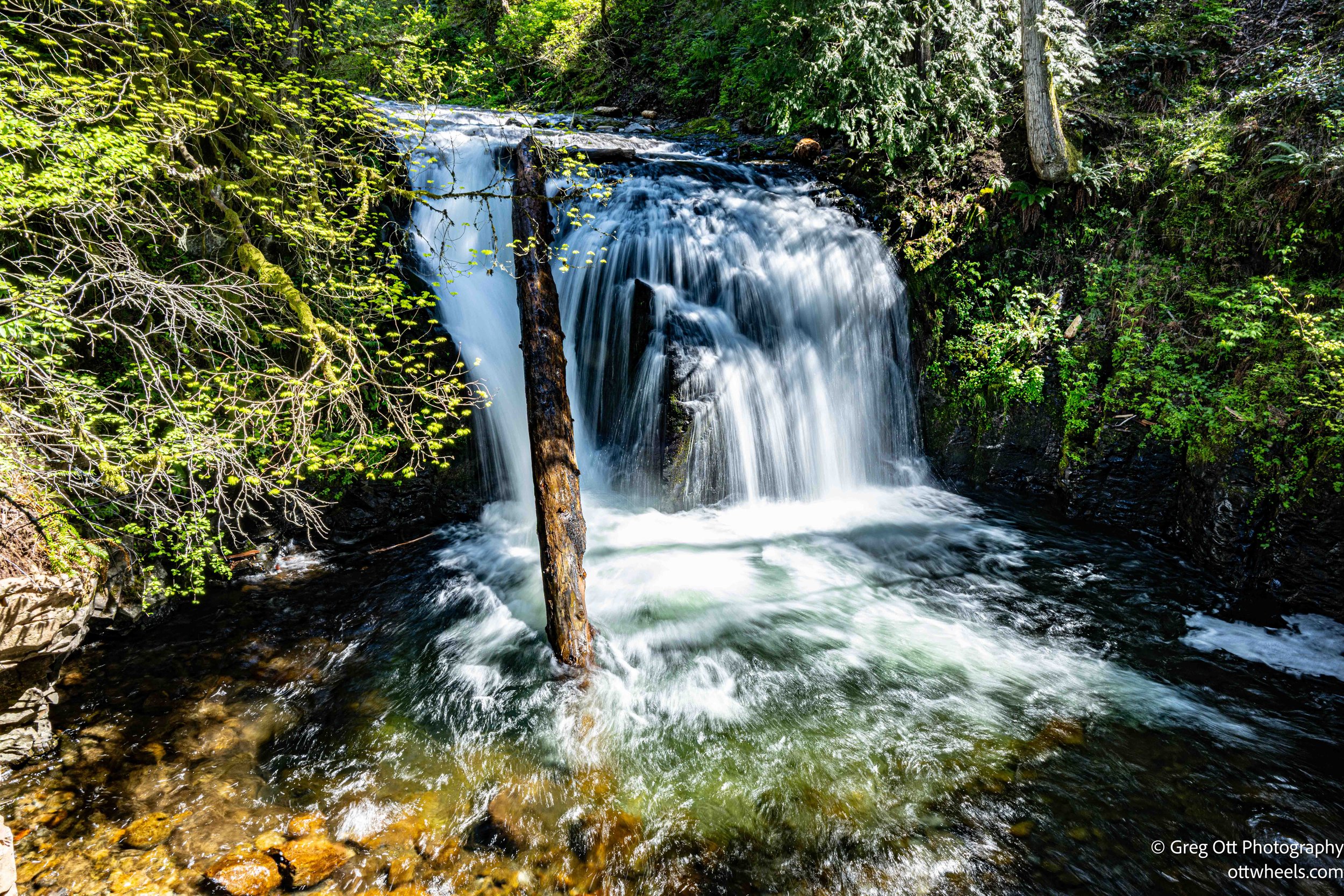 DSC_0677.jpg