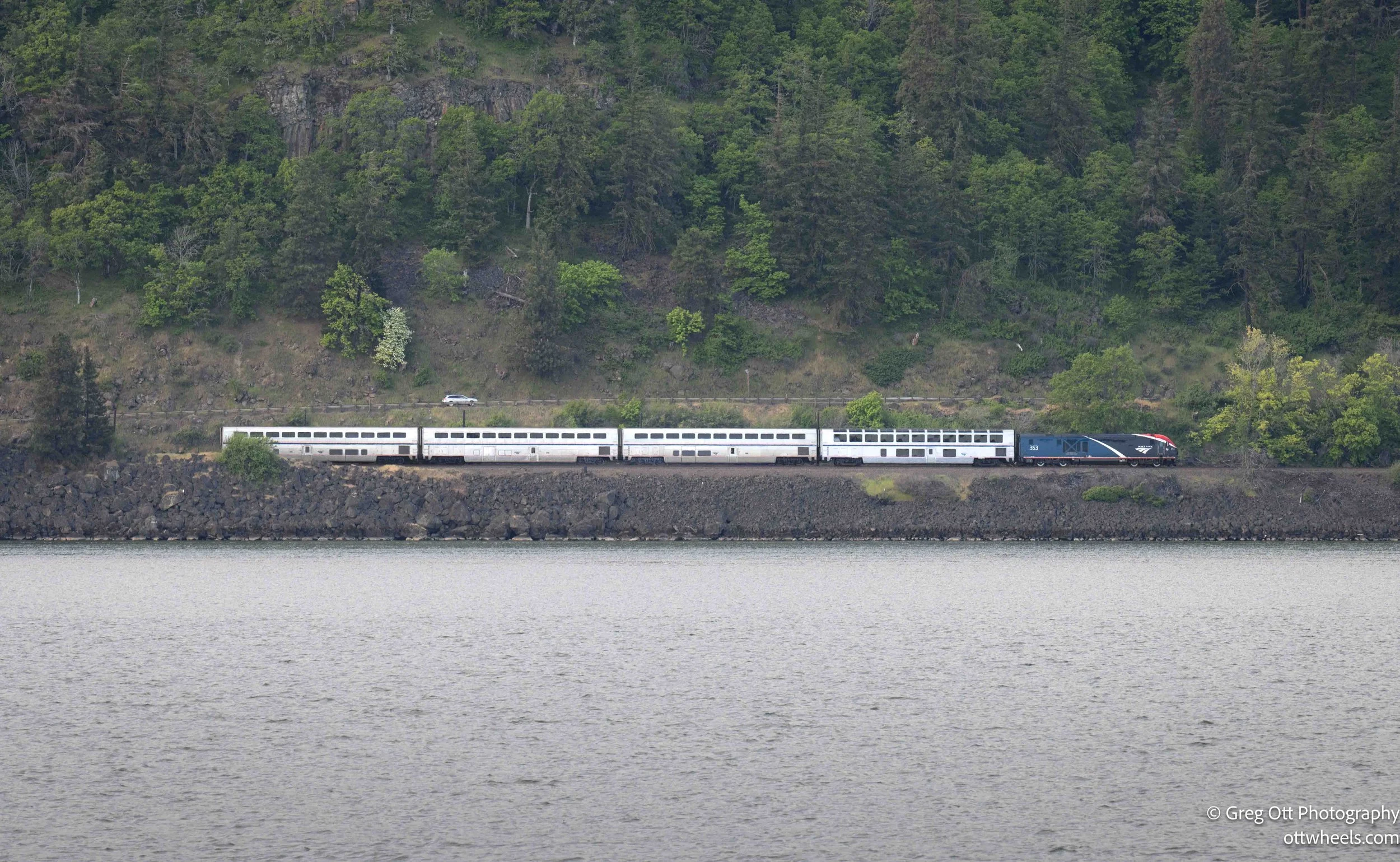 DSC_0719.jpg