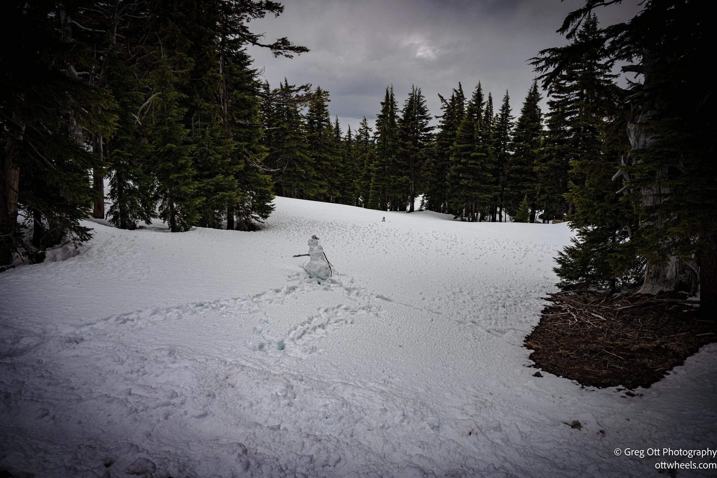 DSC_0801.jpg