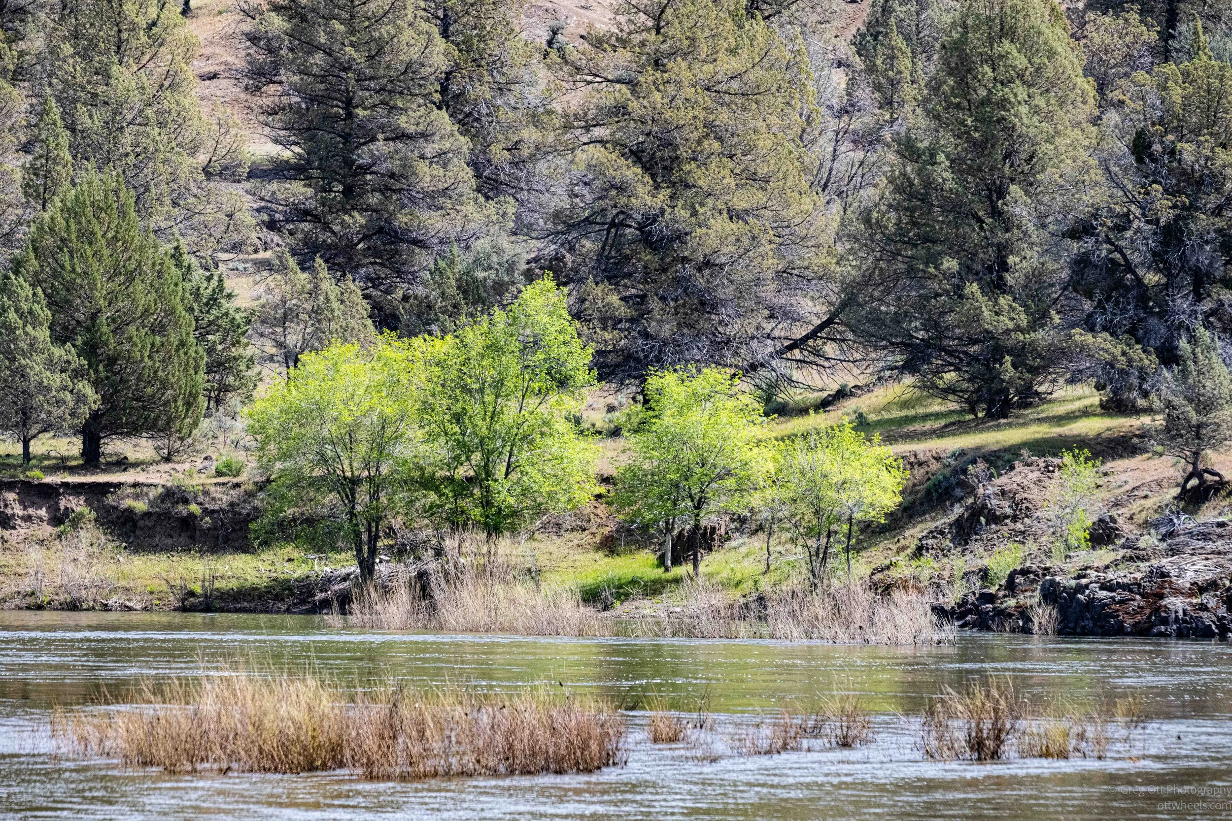 DSC_1052.jpg