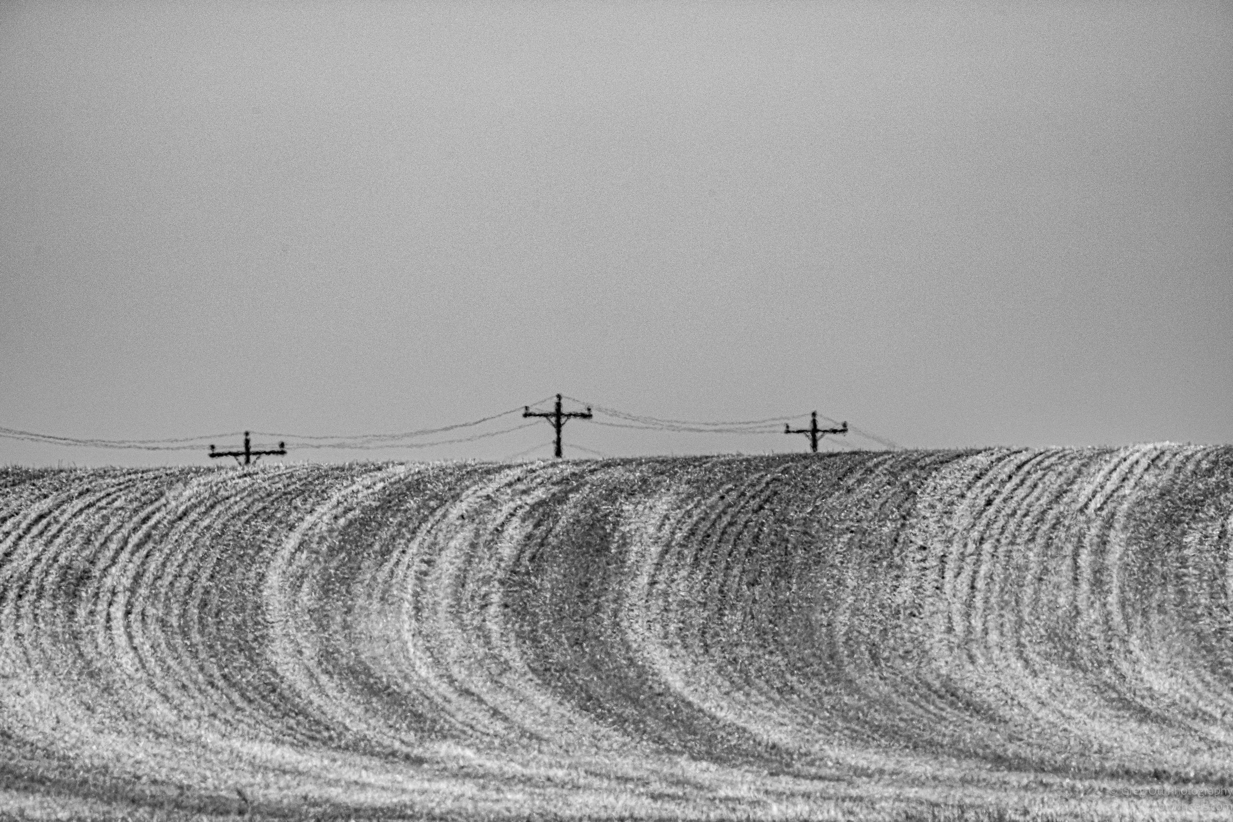 DSC_1201.jpg