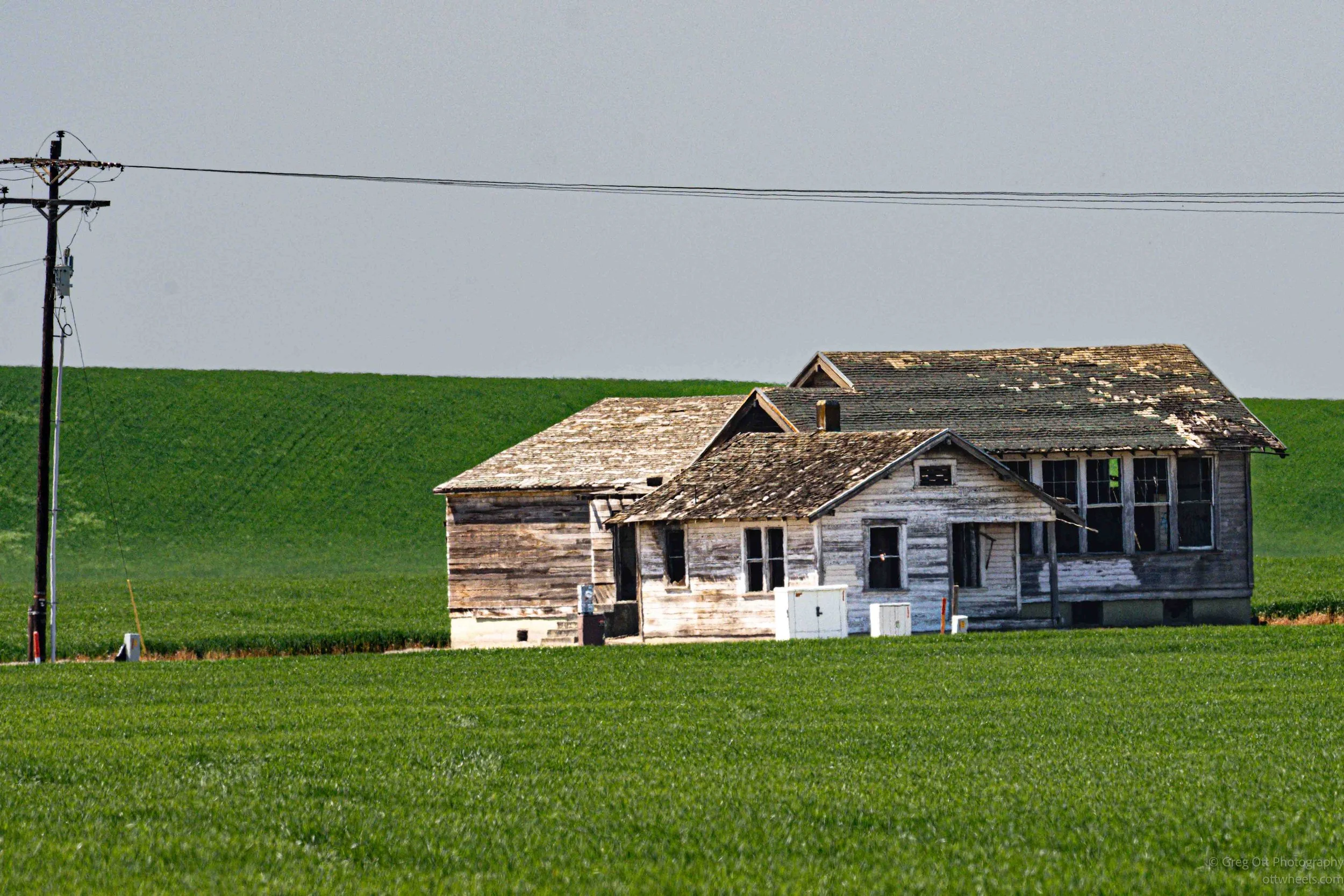 DSC_1192.jpg