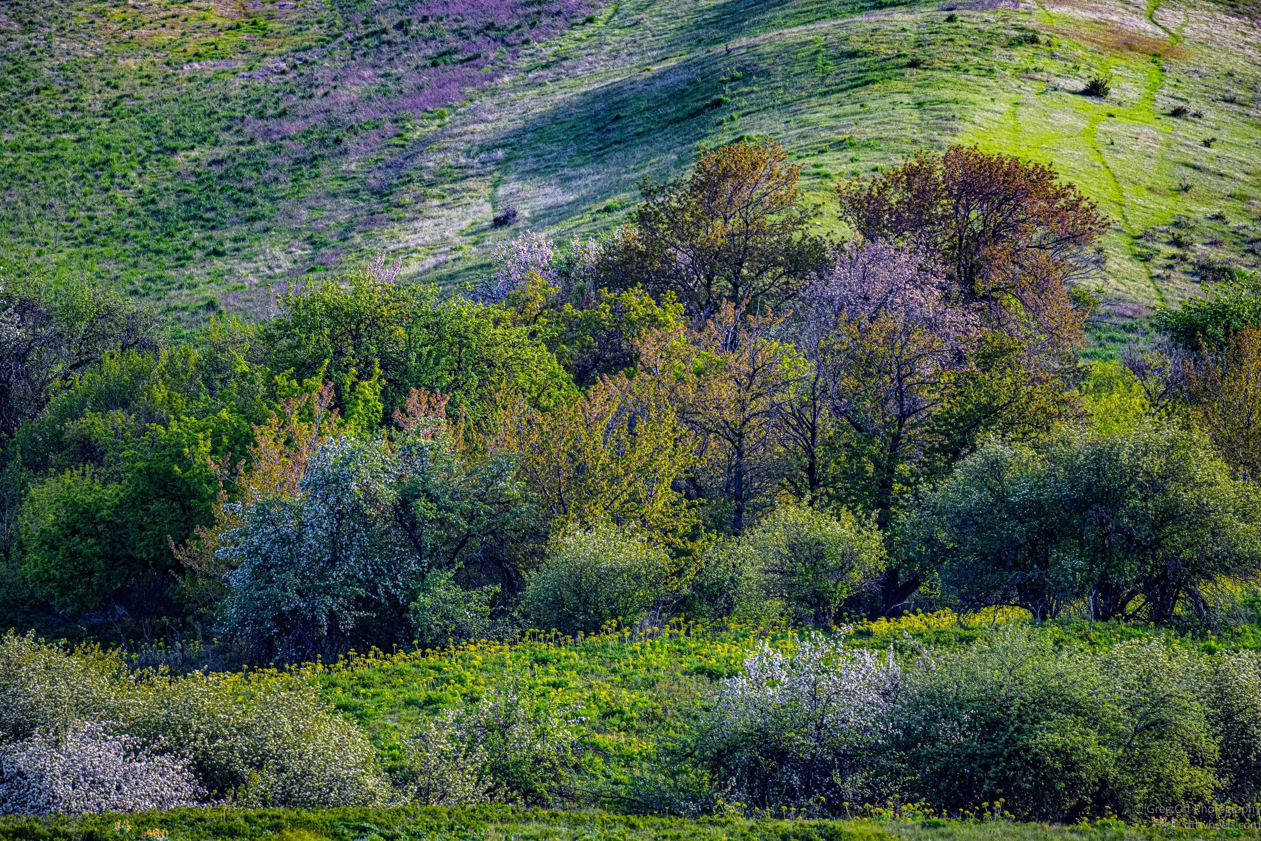 DSC_1340.jpg