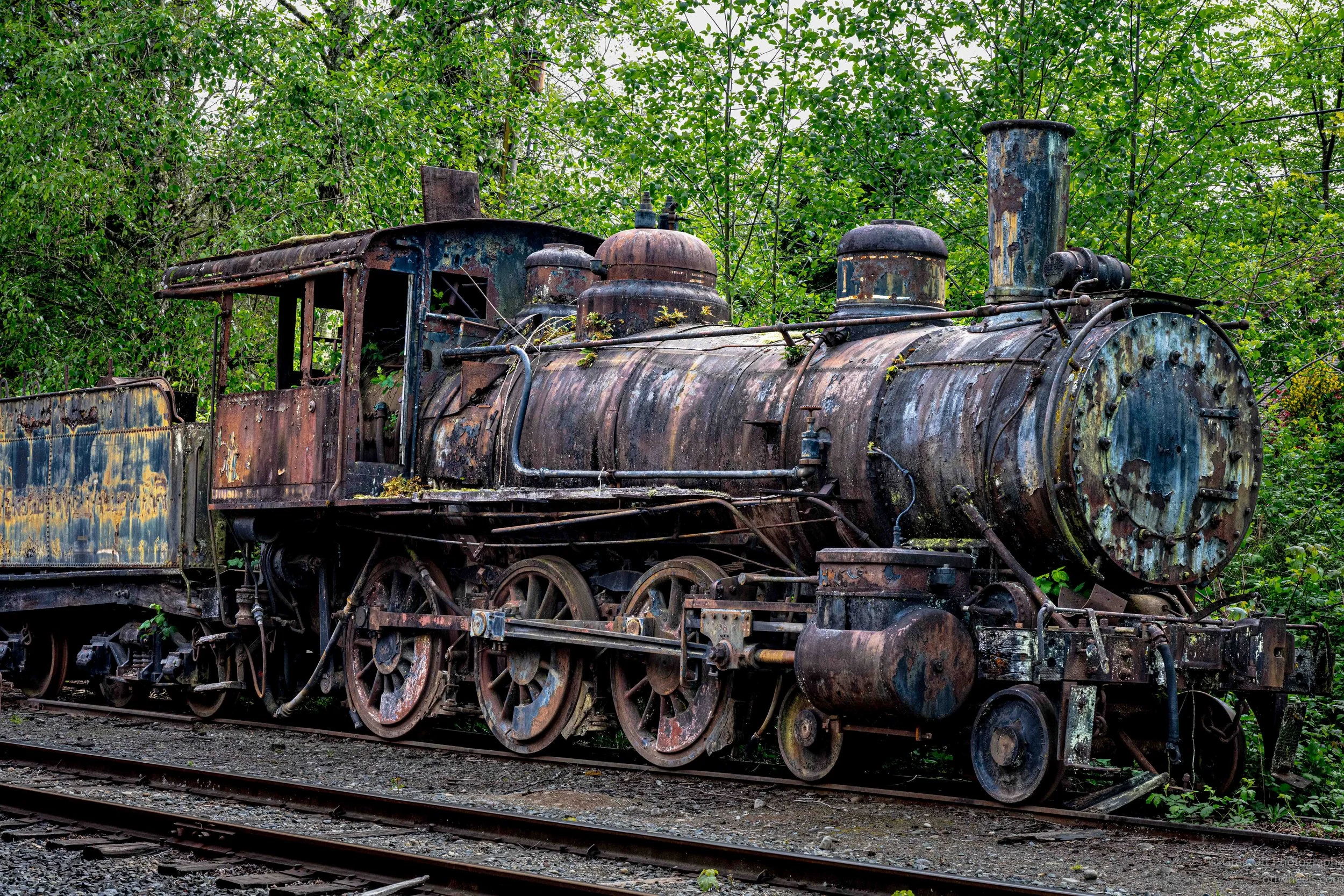 _DSC1589.jpg