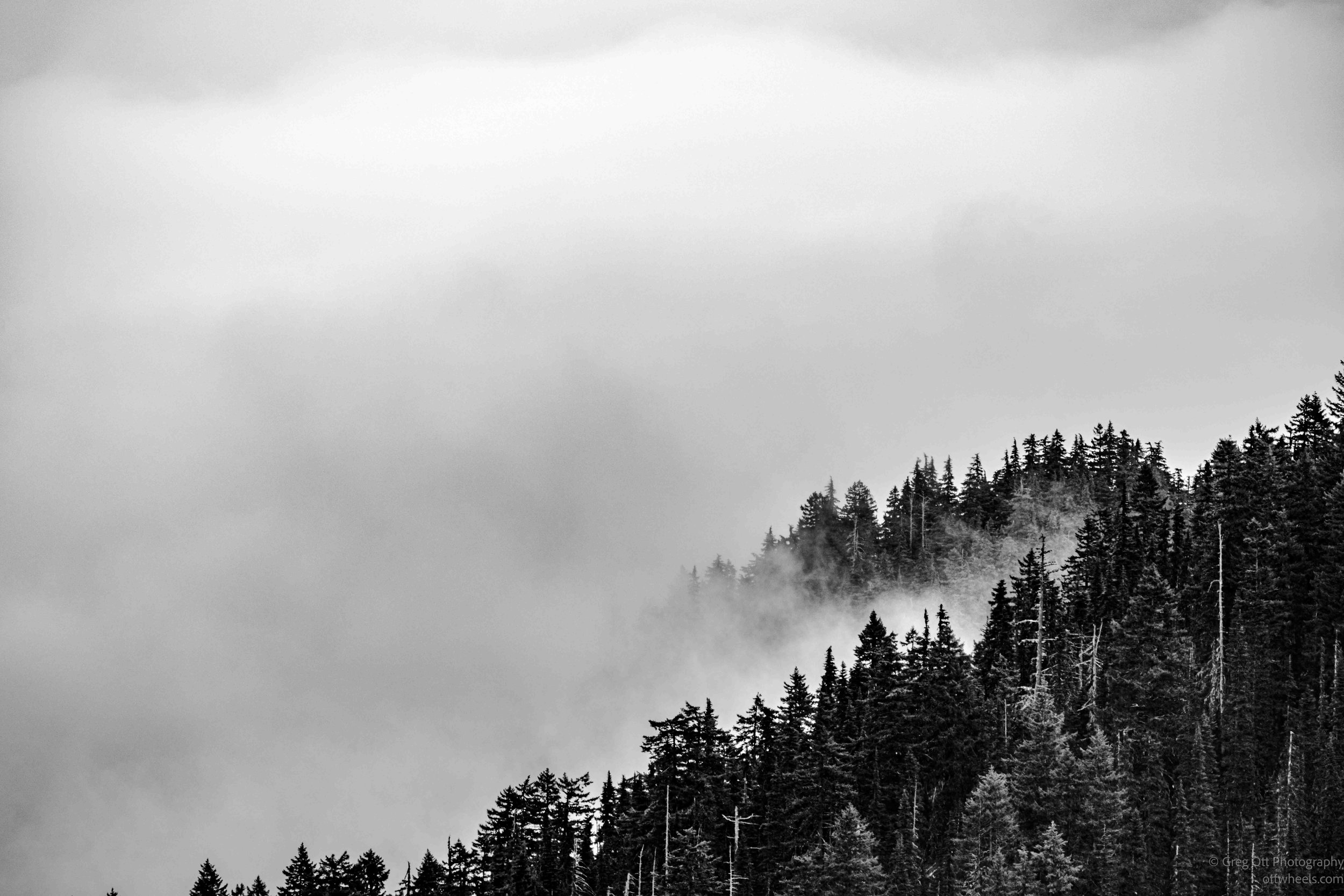 _DSC1703.jpg