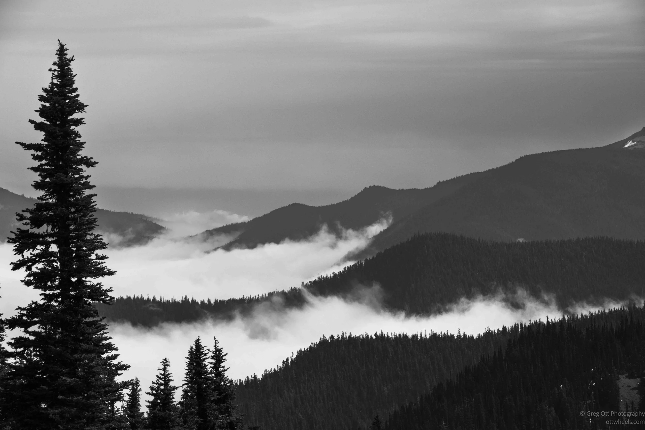 _DSC1722.jpg