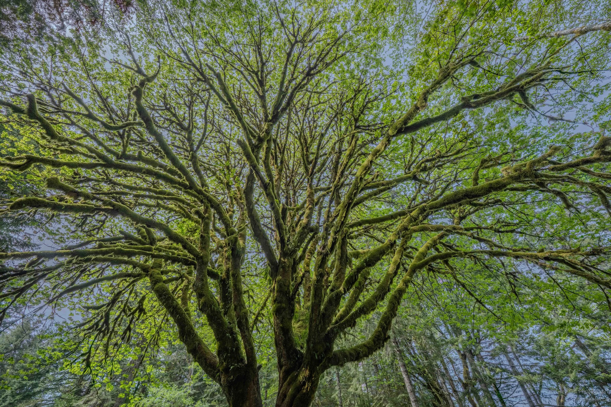 _DSC1781-HDR.jpg