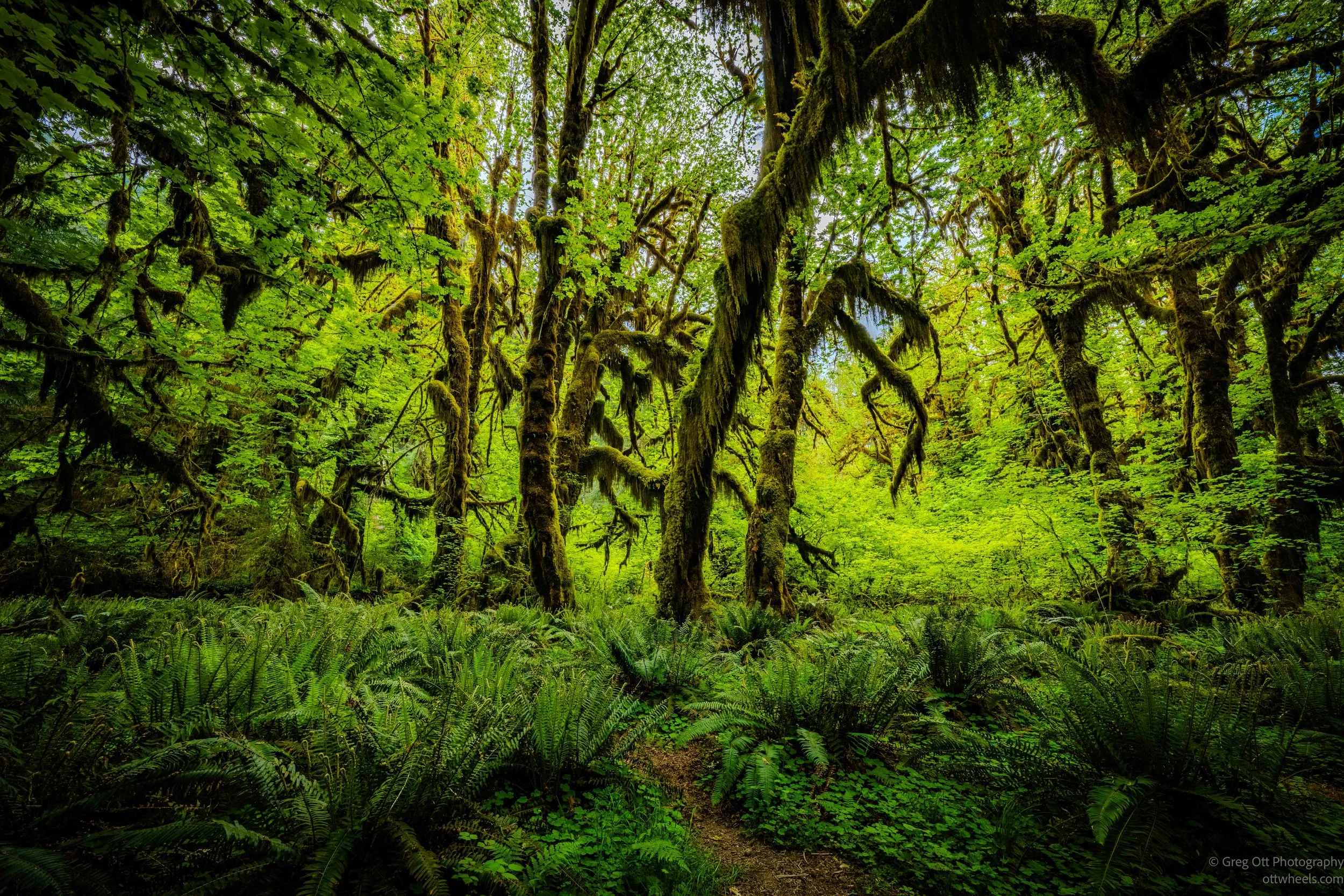 _DSC2374-HDR.jpg