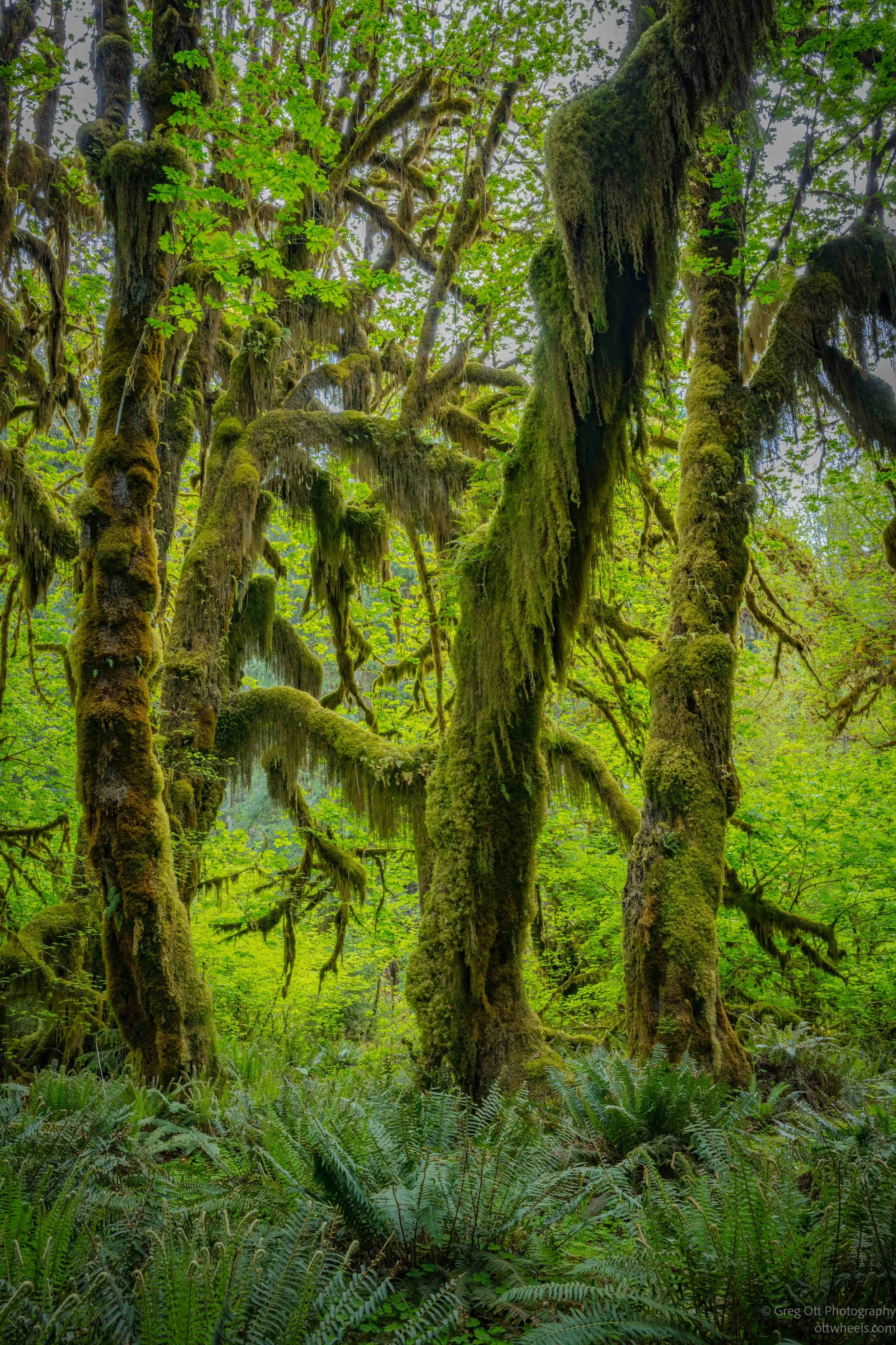 _DSC2375-HDR.jpg