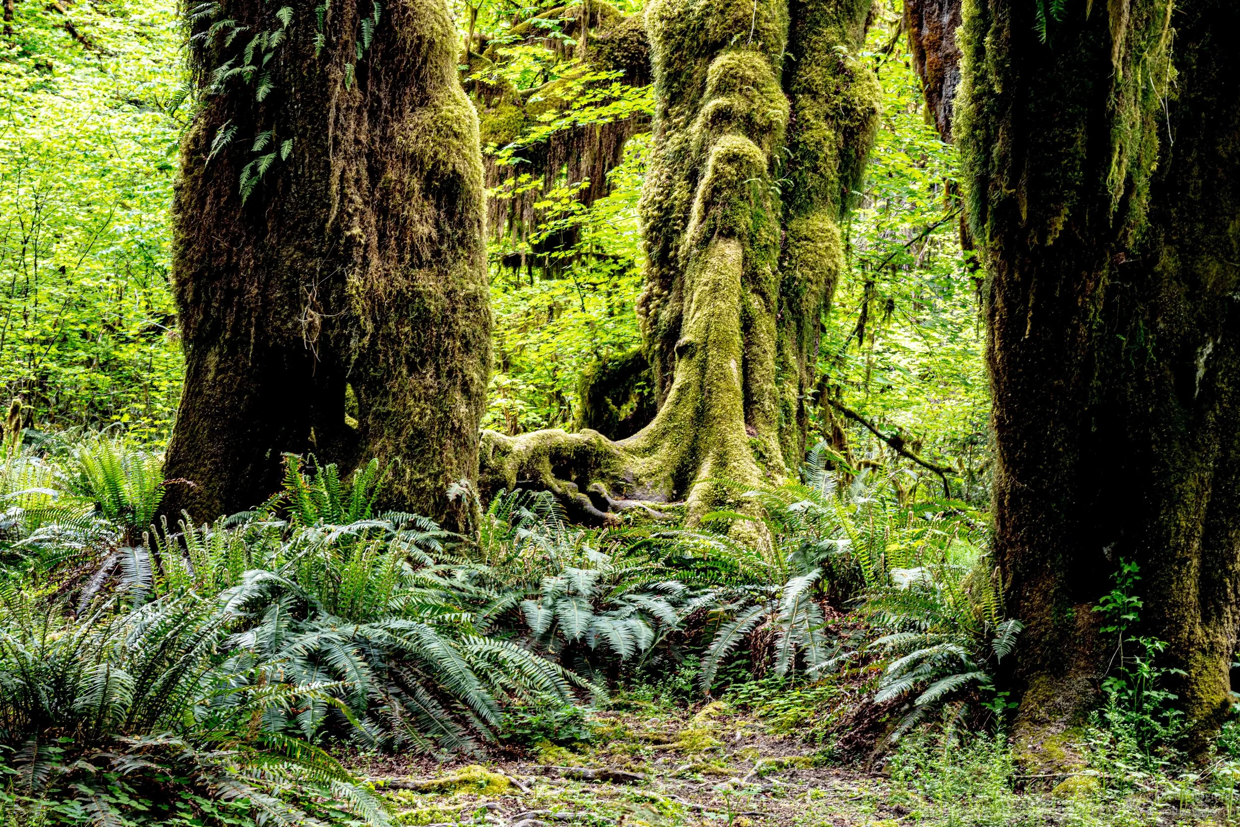 _DSC2394-HDR.jpg
