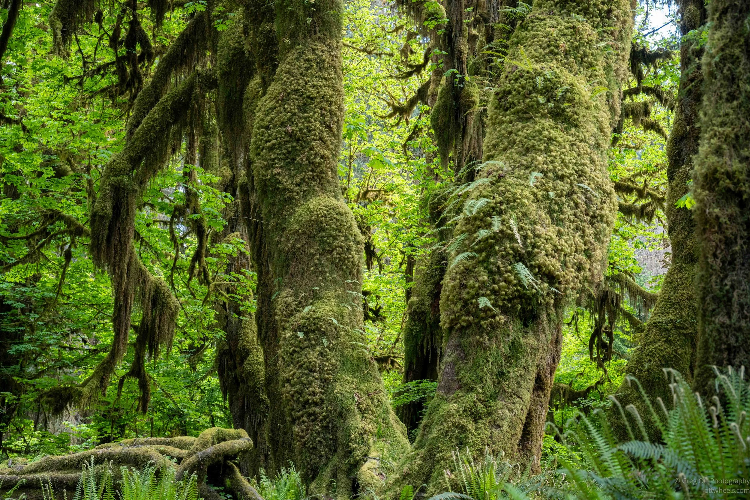 _DSC2418-HDR.jpg