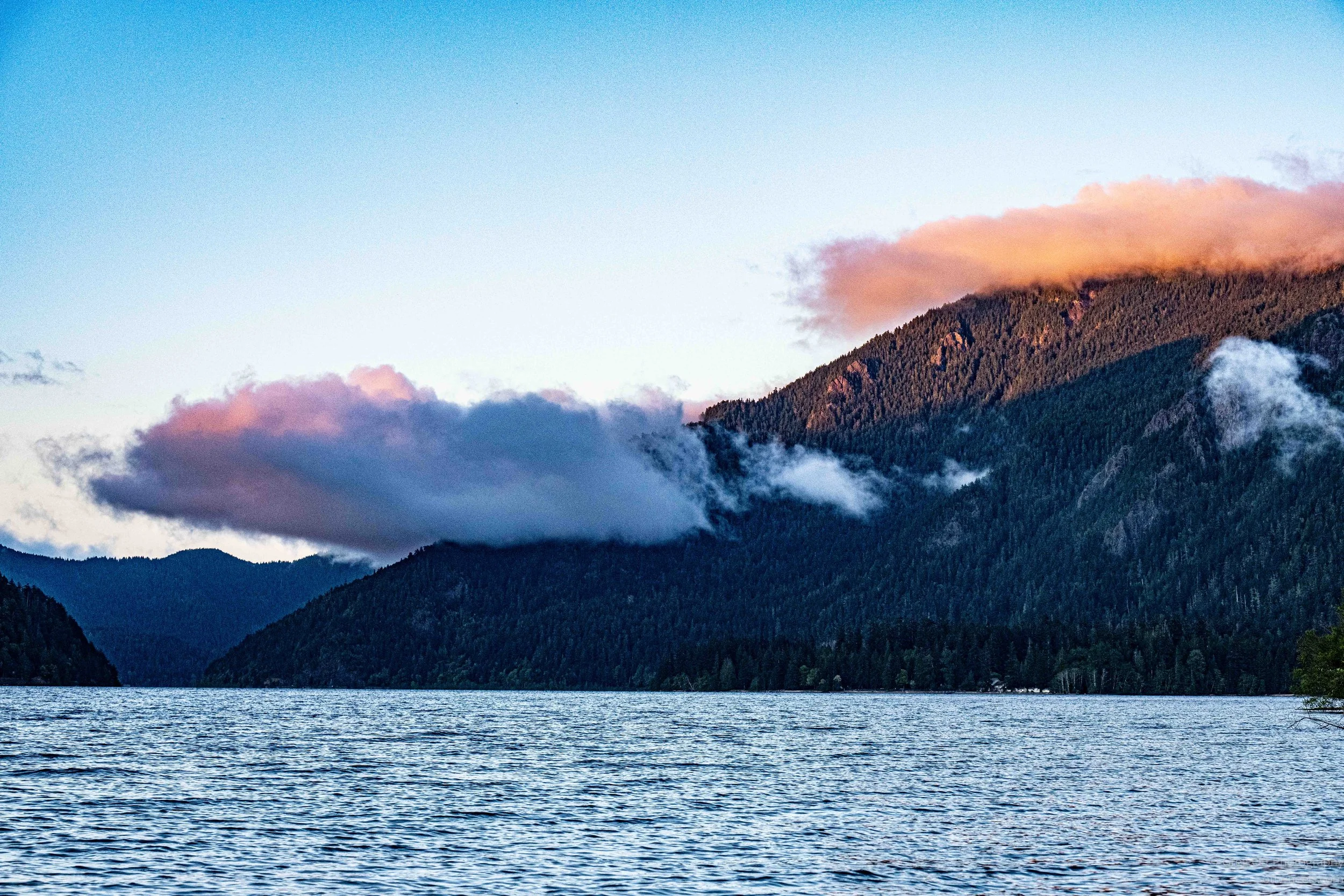 _DSC2583.jpg