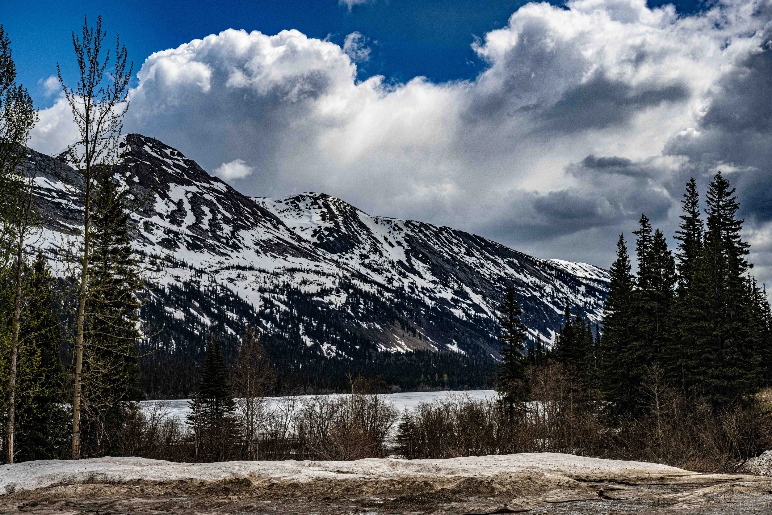 _DSC2647.jpg