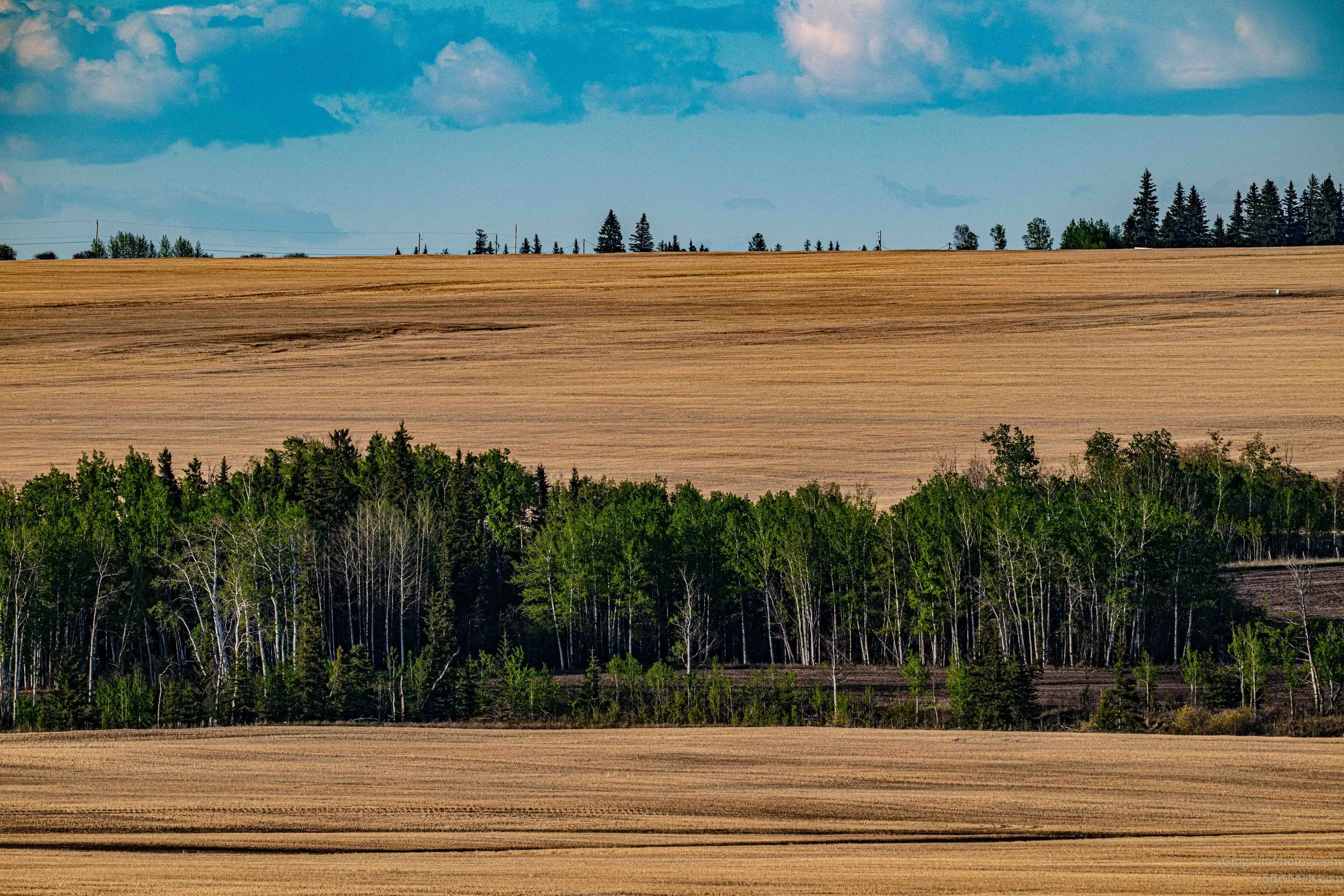 _DSC0563.jpg