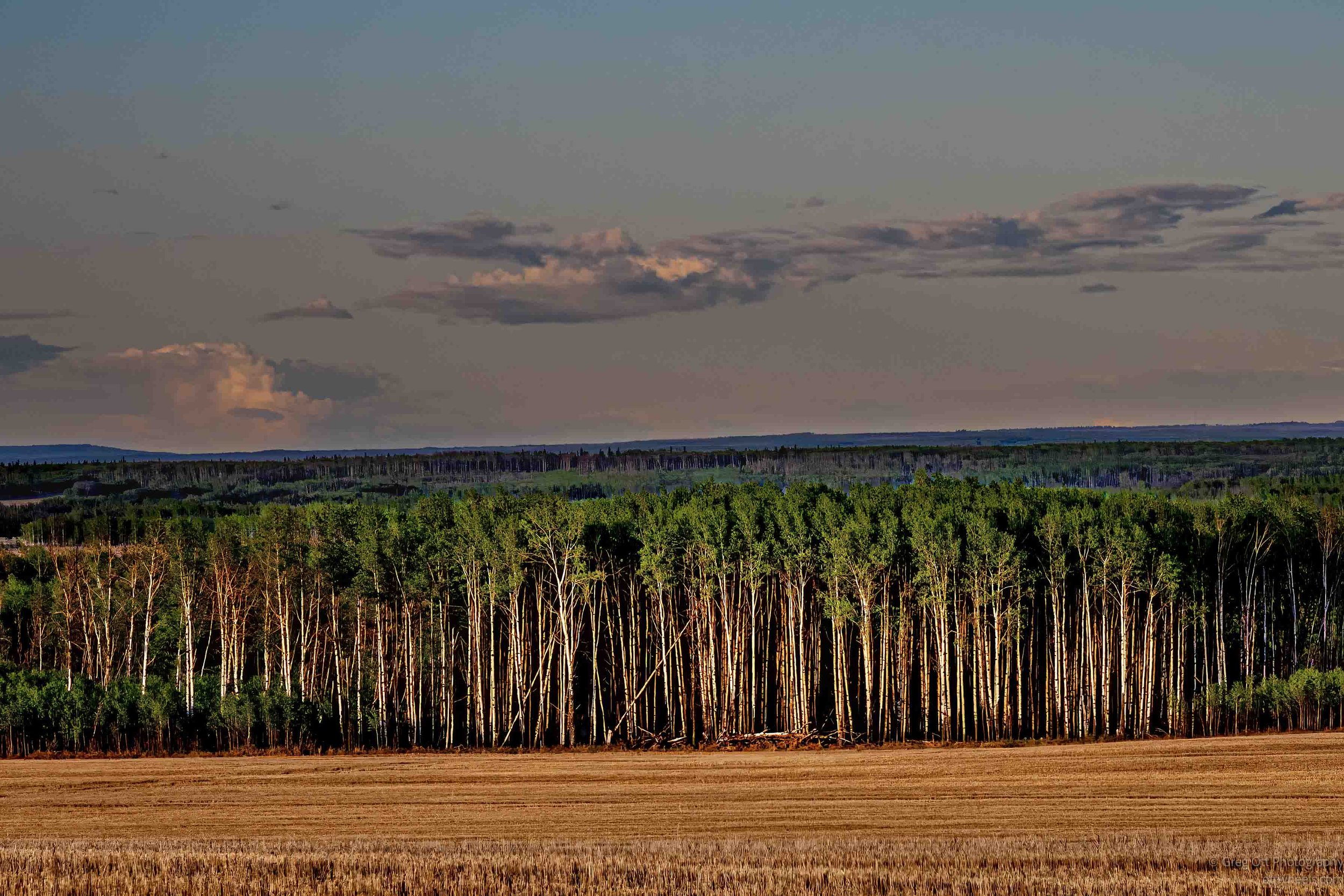 _DSC2774-Edit.jpg