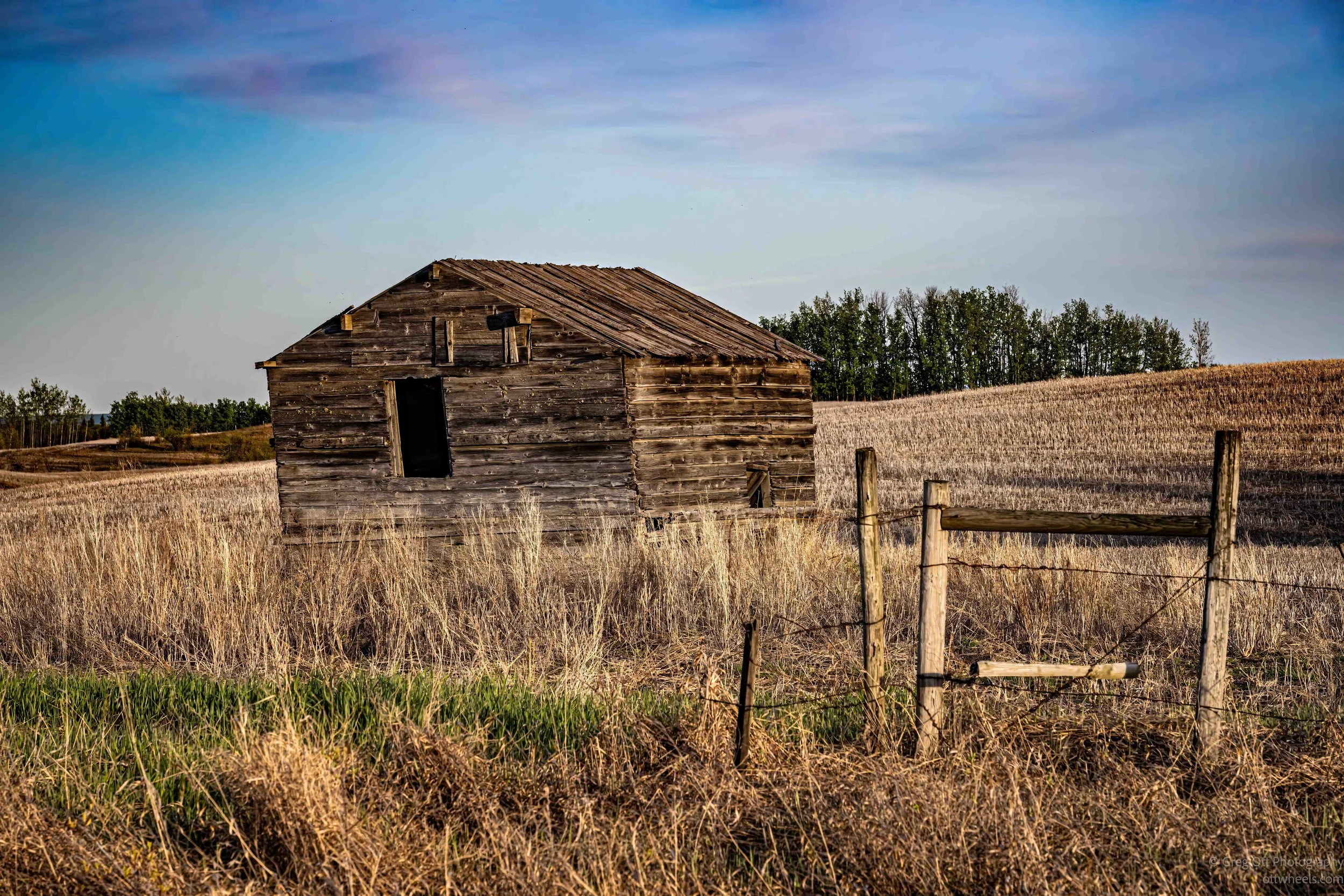 _DSC2772-Edit.jpg