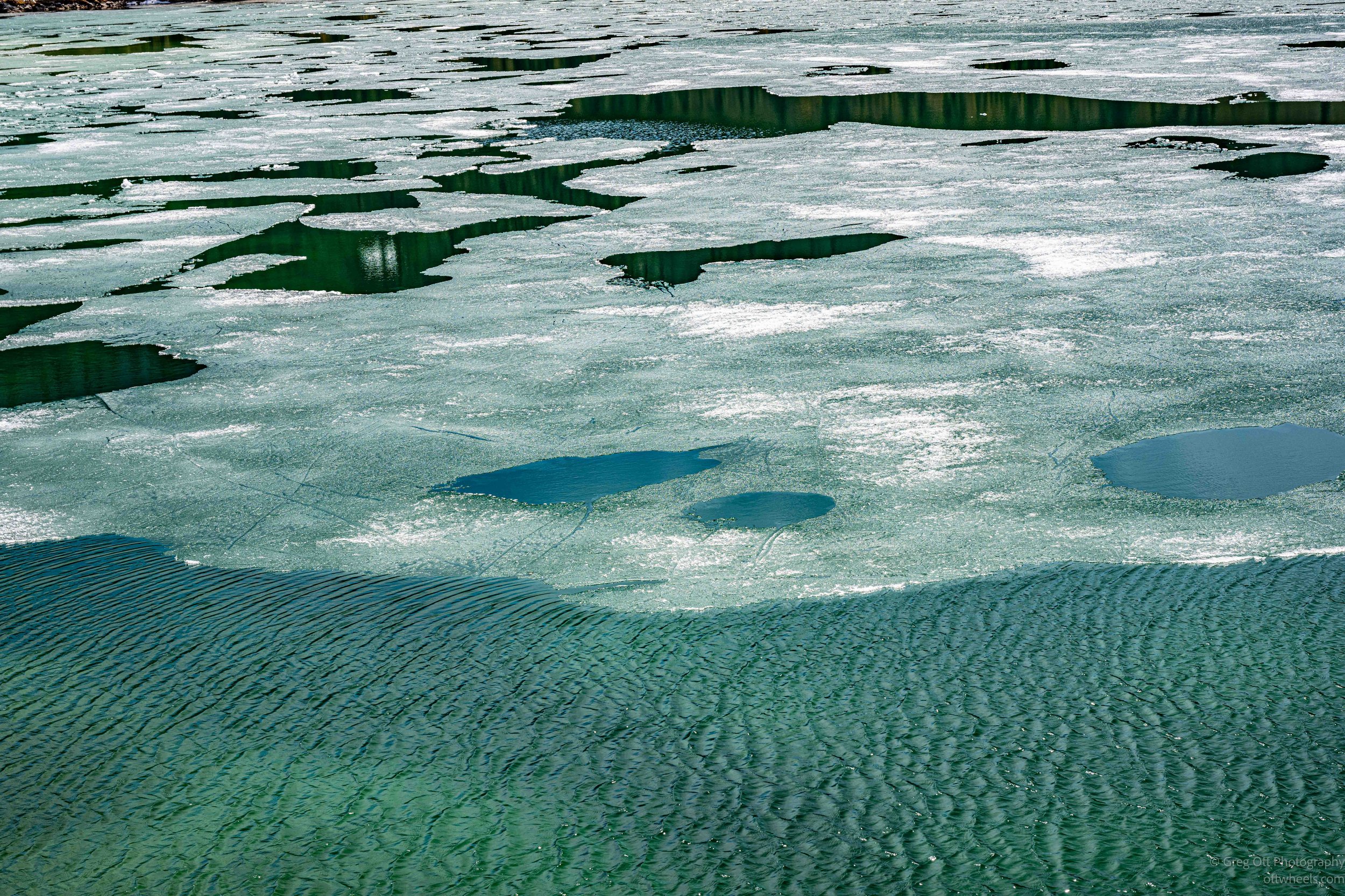 _DSC2831.jpg