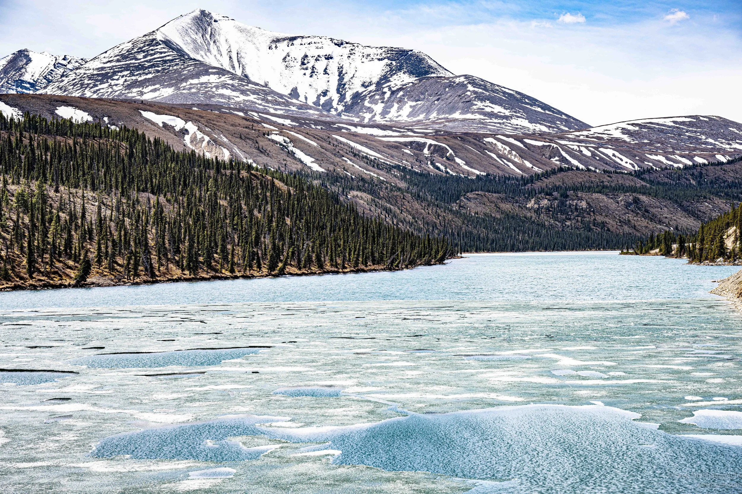 _DSC2833.jpg