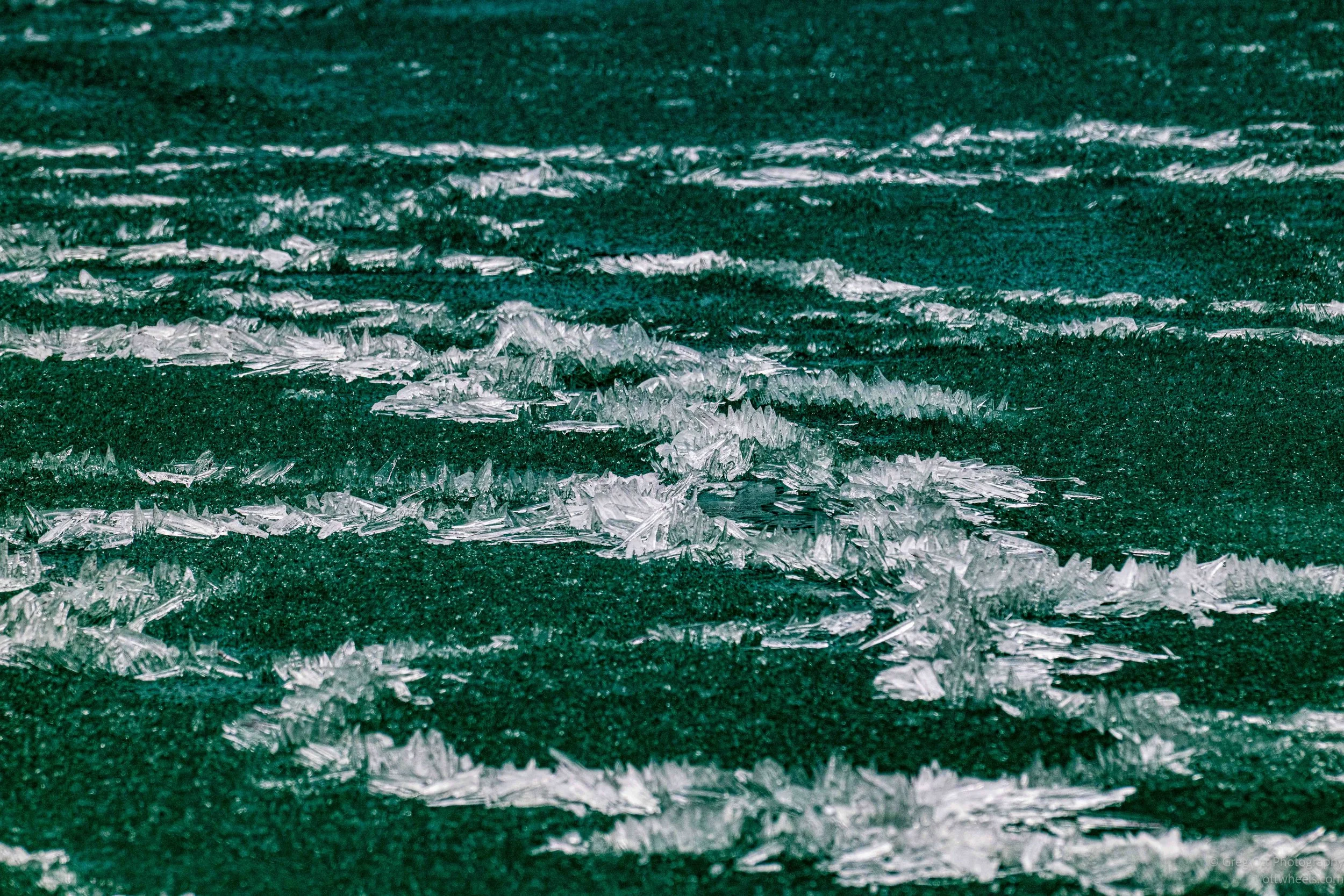_DSC0768.jpg