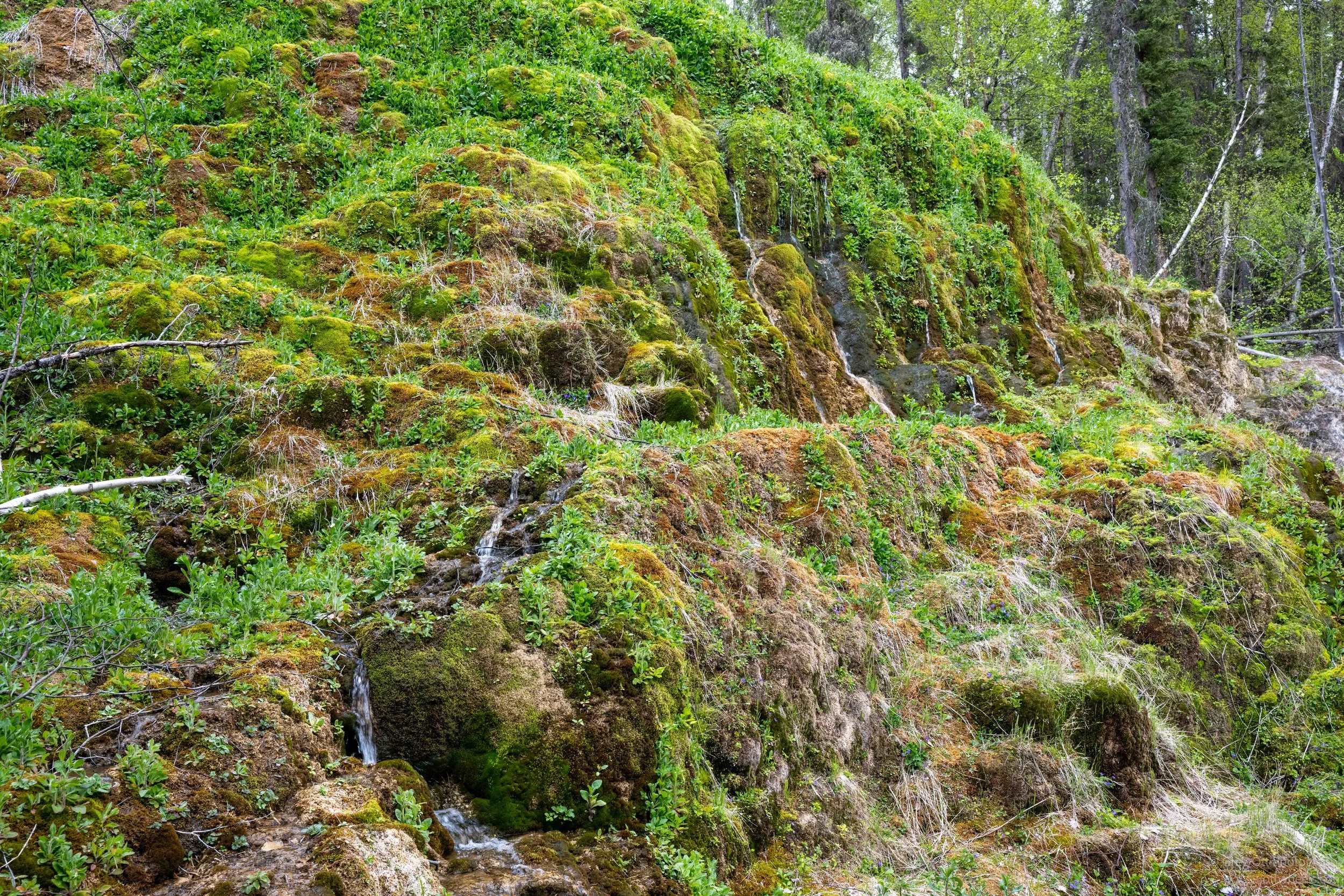 _DSC1010.jpg