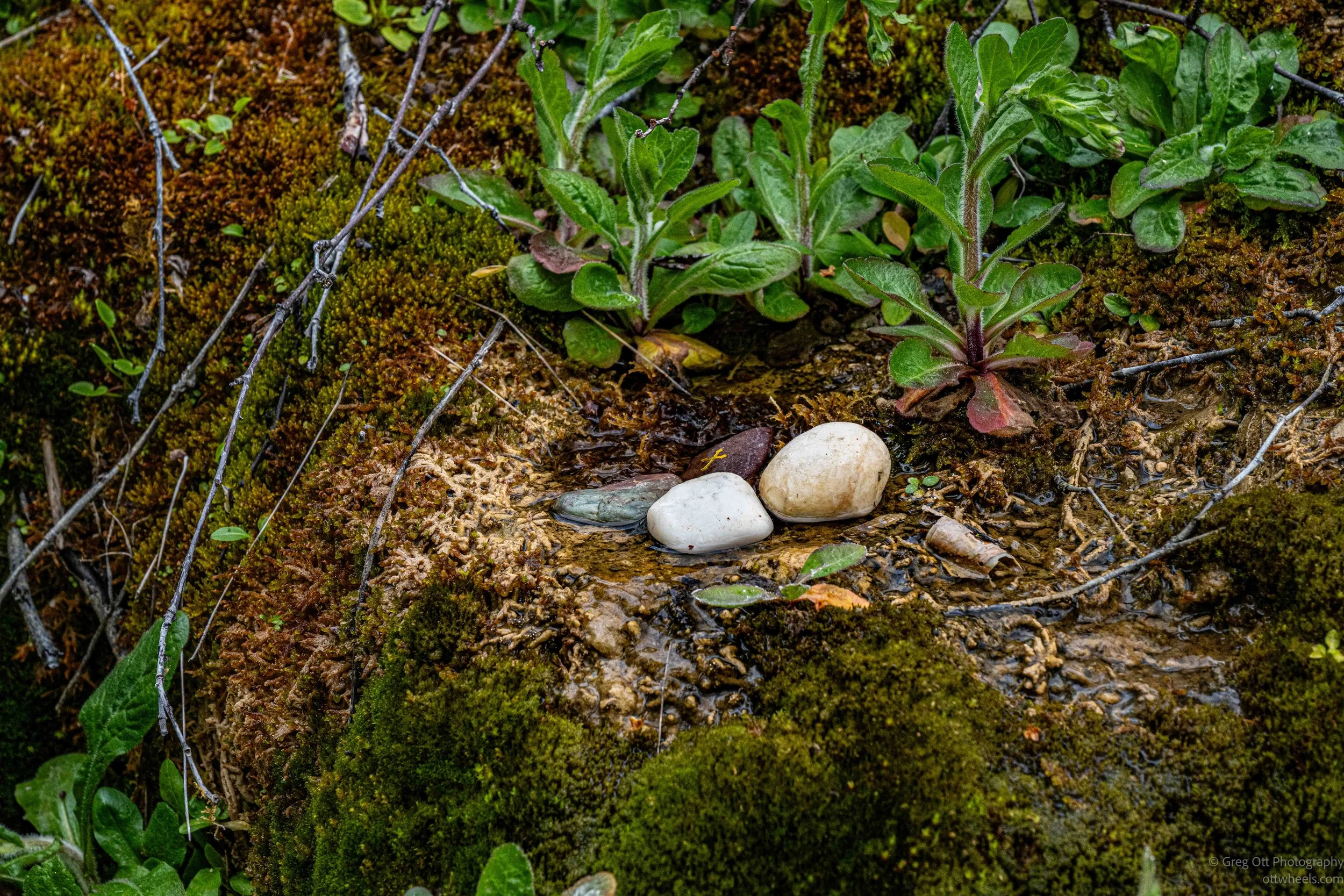 _DSC1013.jpg