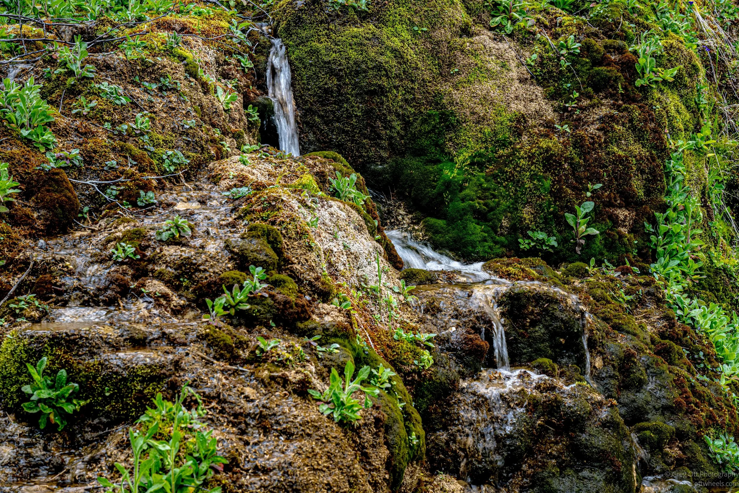 _DSC1014.jpg