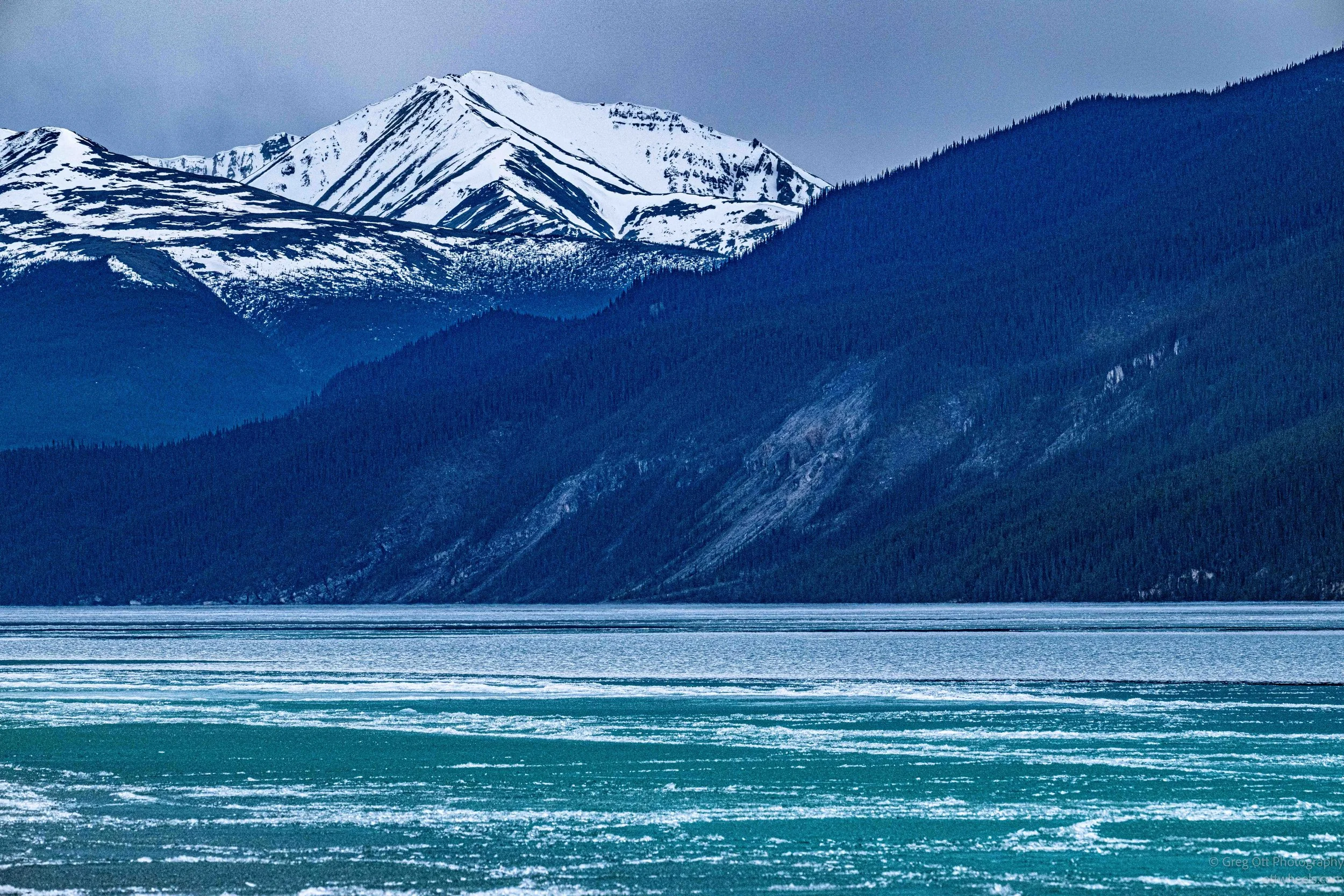 _DSC0944.jpg