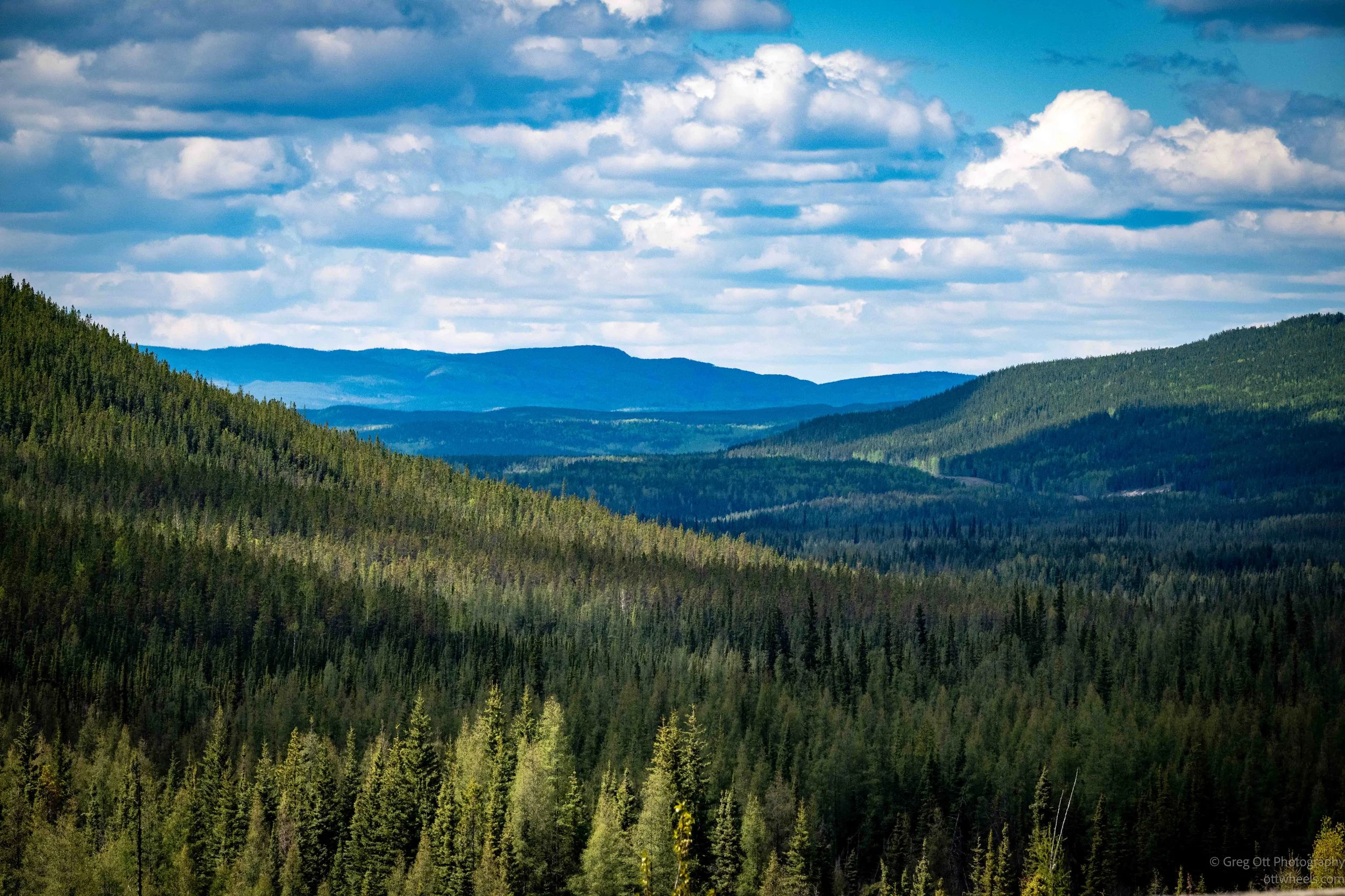_DSC1067.jpg