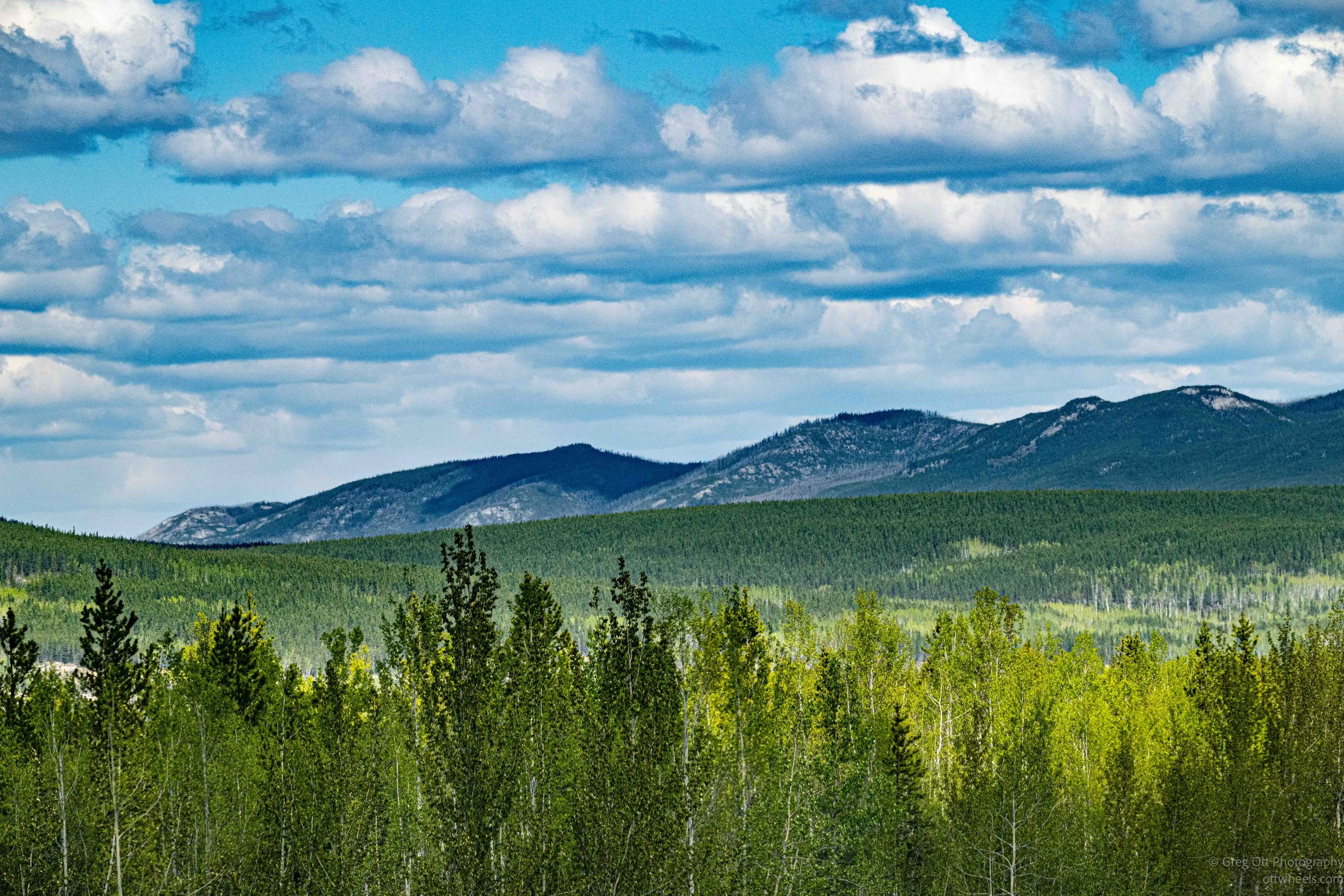 _DSC1069.jpg