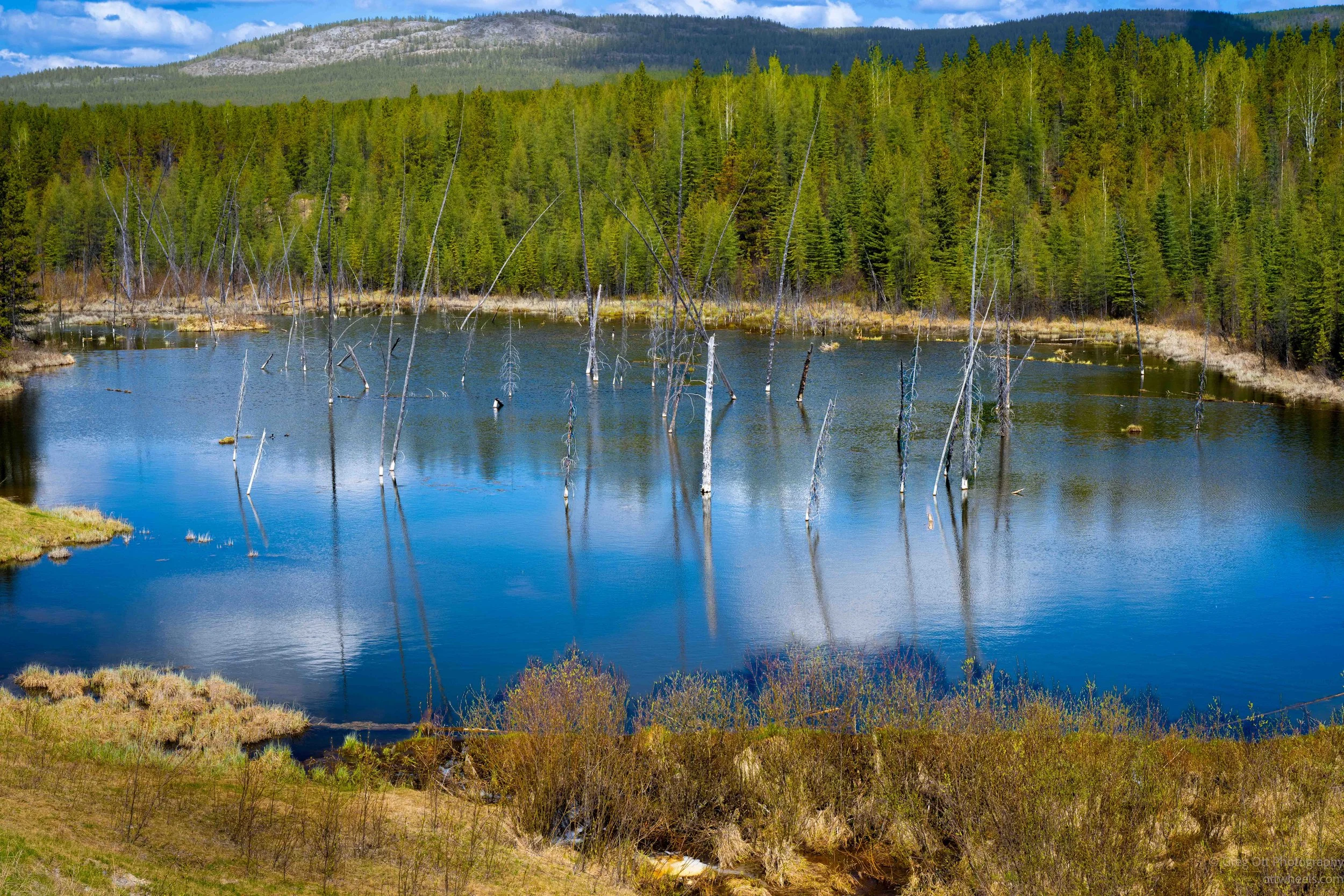 _DSC2908.jpg