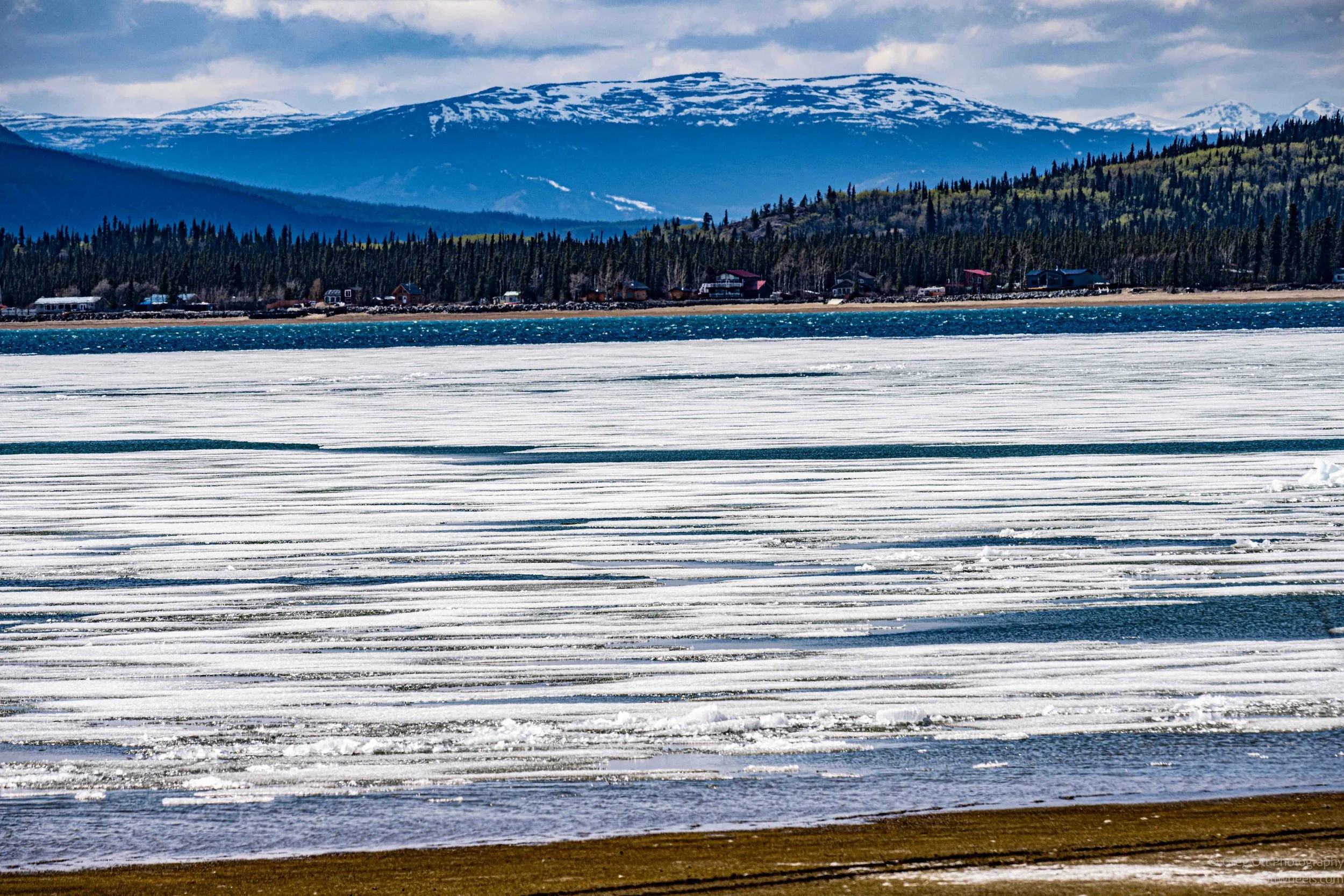 _DSC2962.jpg