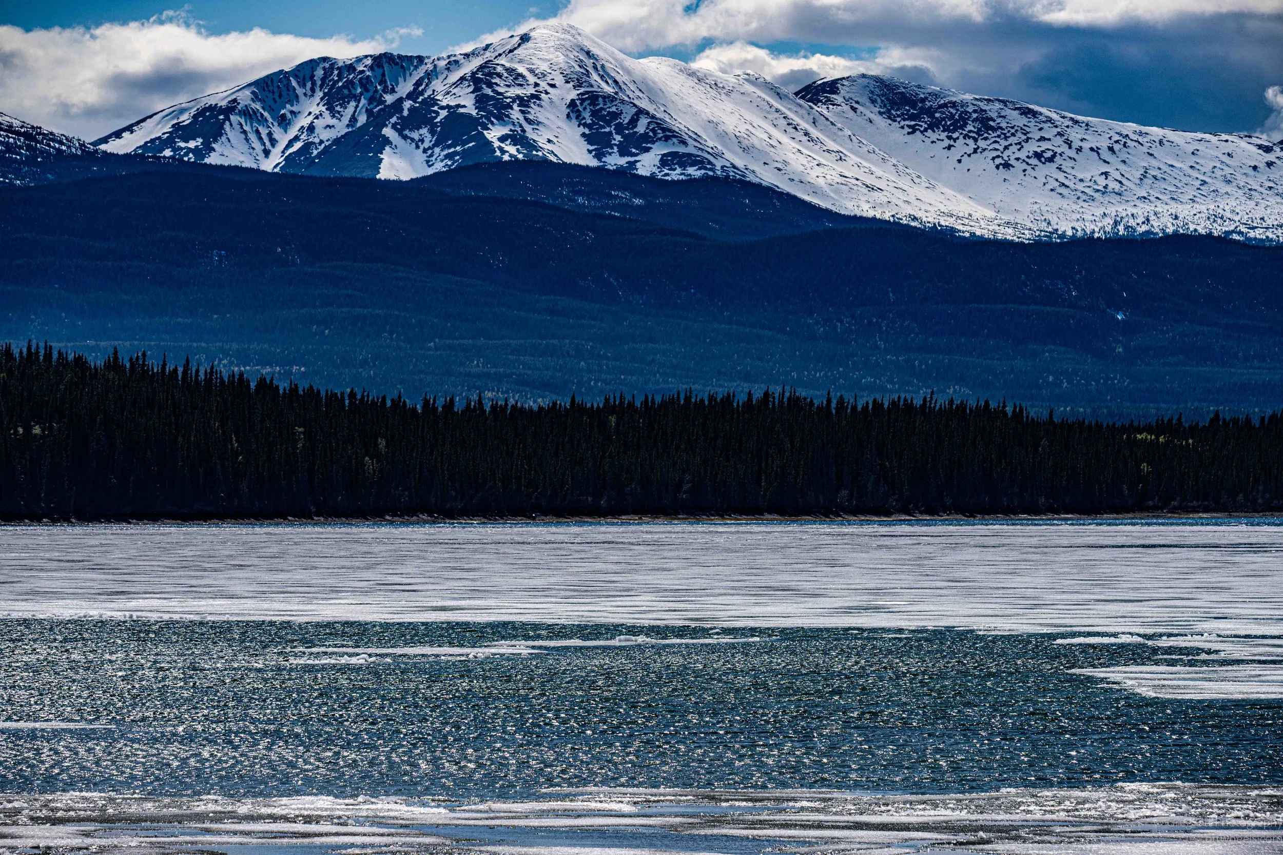 _DSC2961.jpg