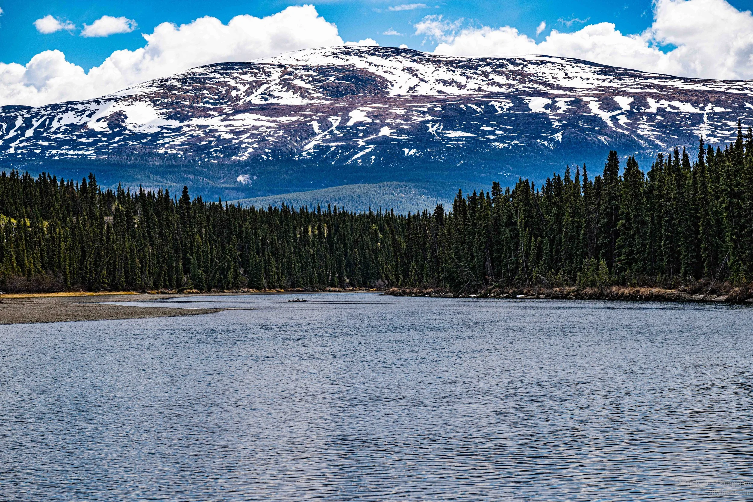 _DSC1188.jpg