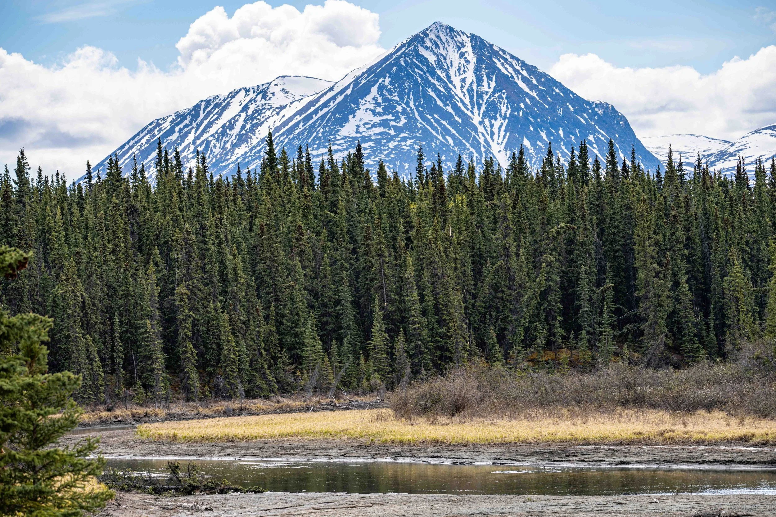 _DSC2963.jpg