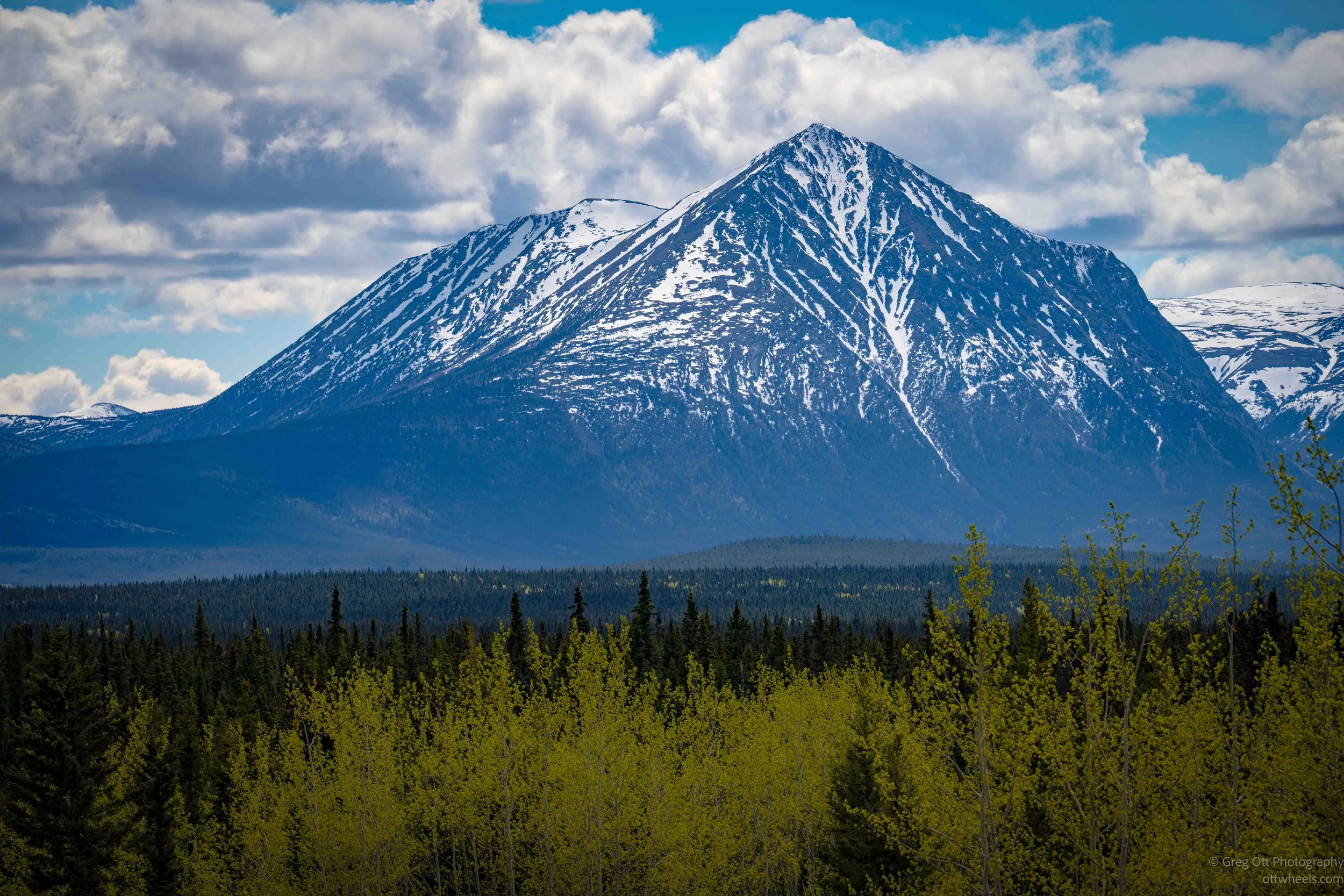 _DSC2970.jpg