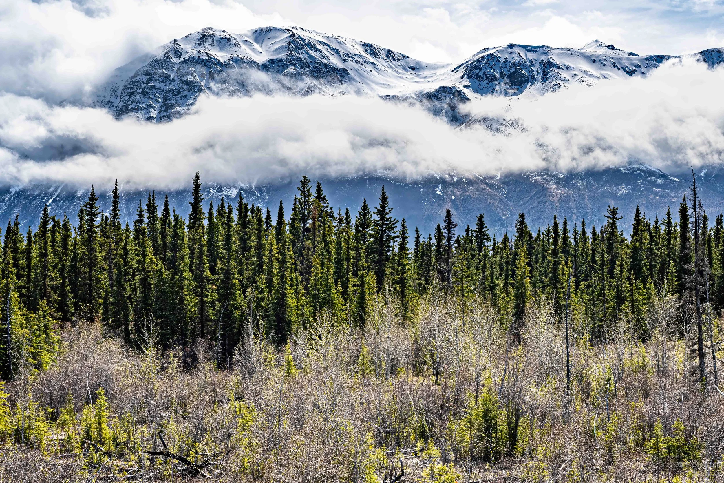 _DSC2996-HDR-Edit.jpg