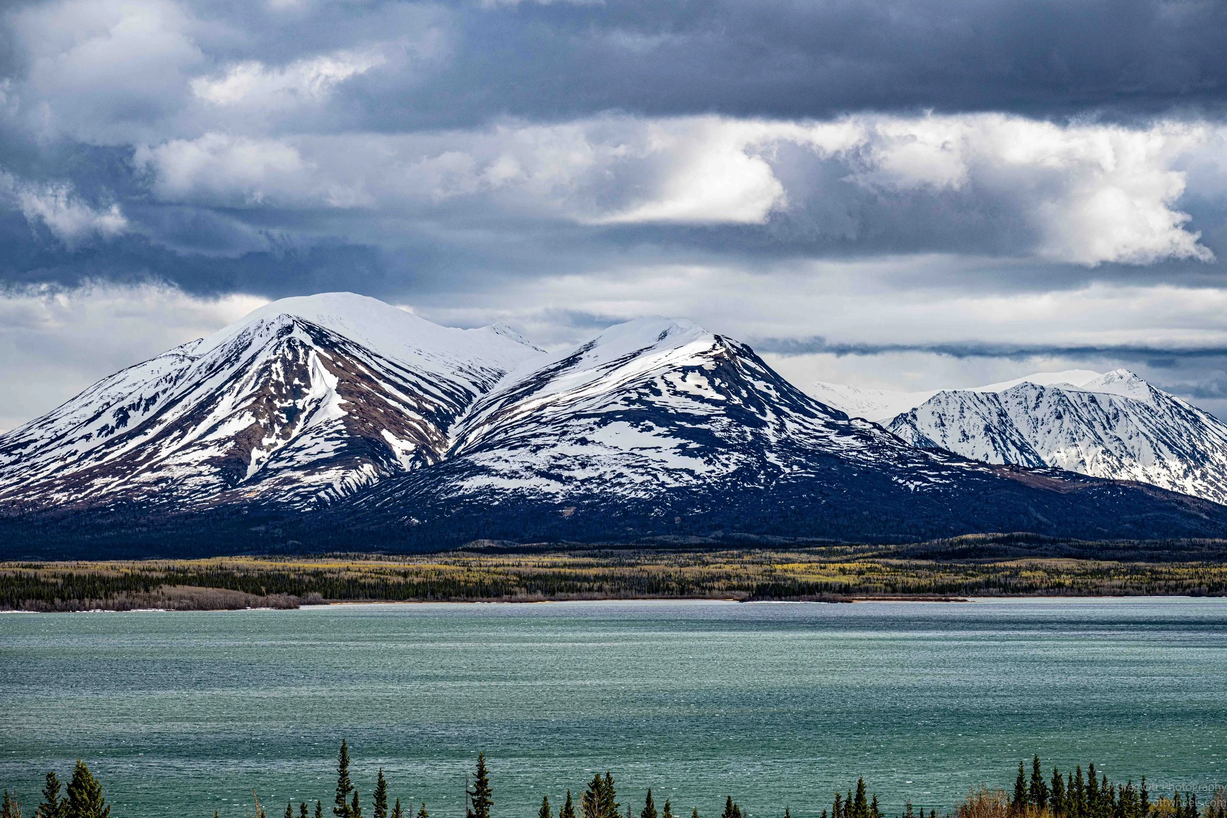 _DSC3029.jpg