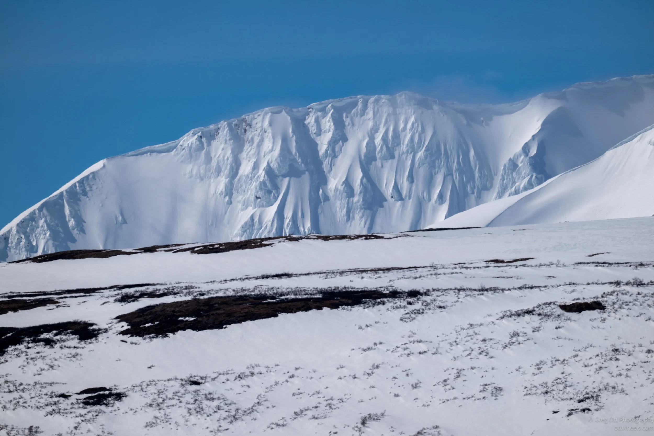 _DSC1313.jpg
