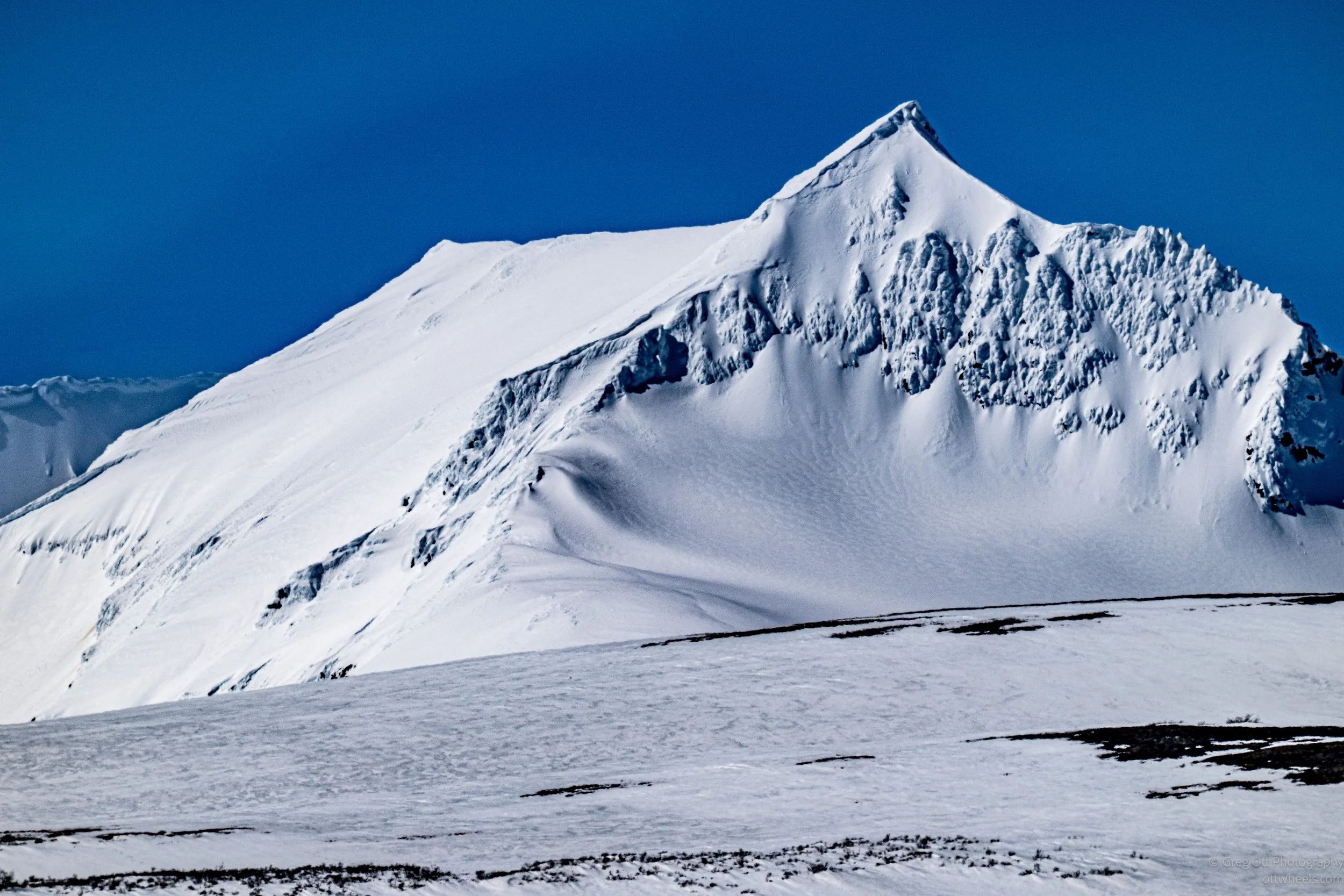 _DSC1314.jpg