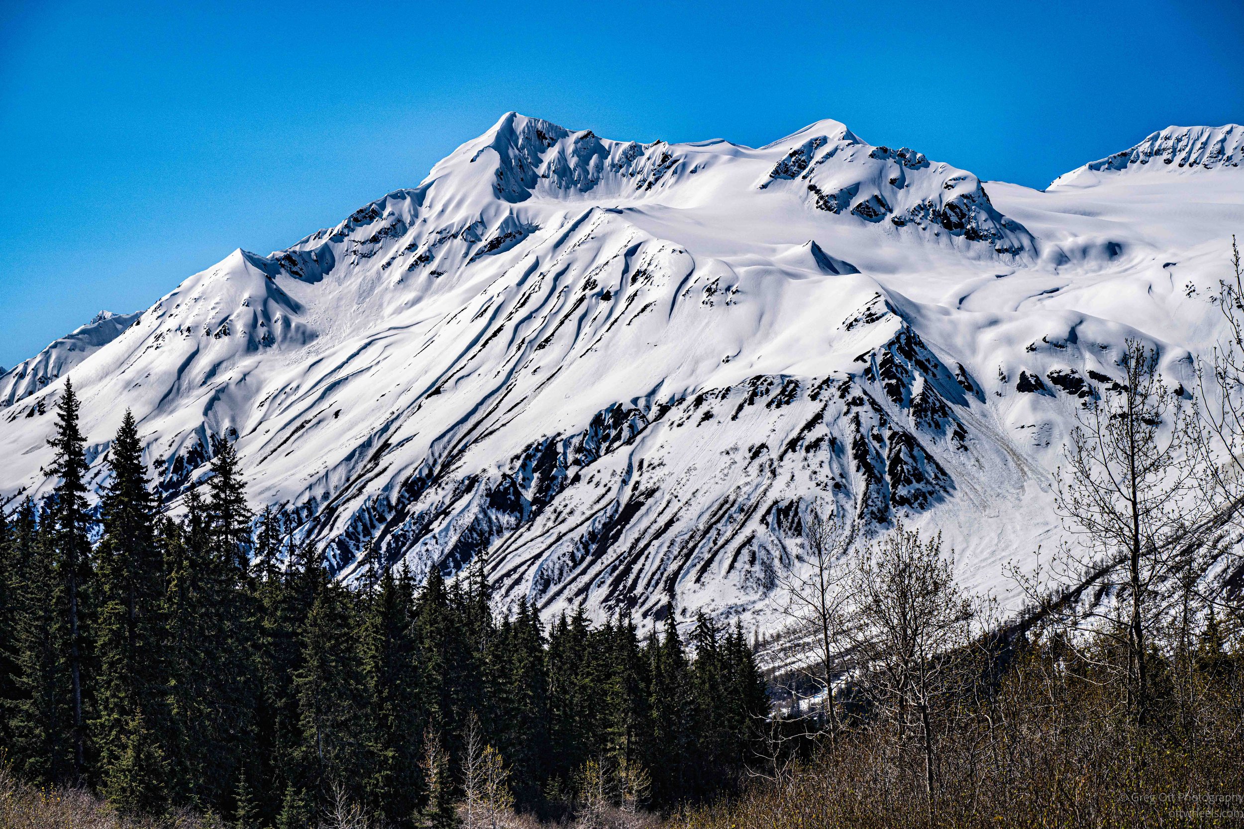 _DSC3051.jpg
