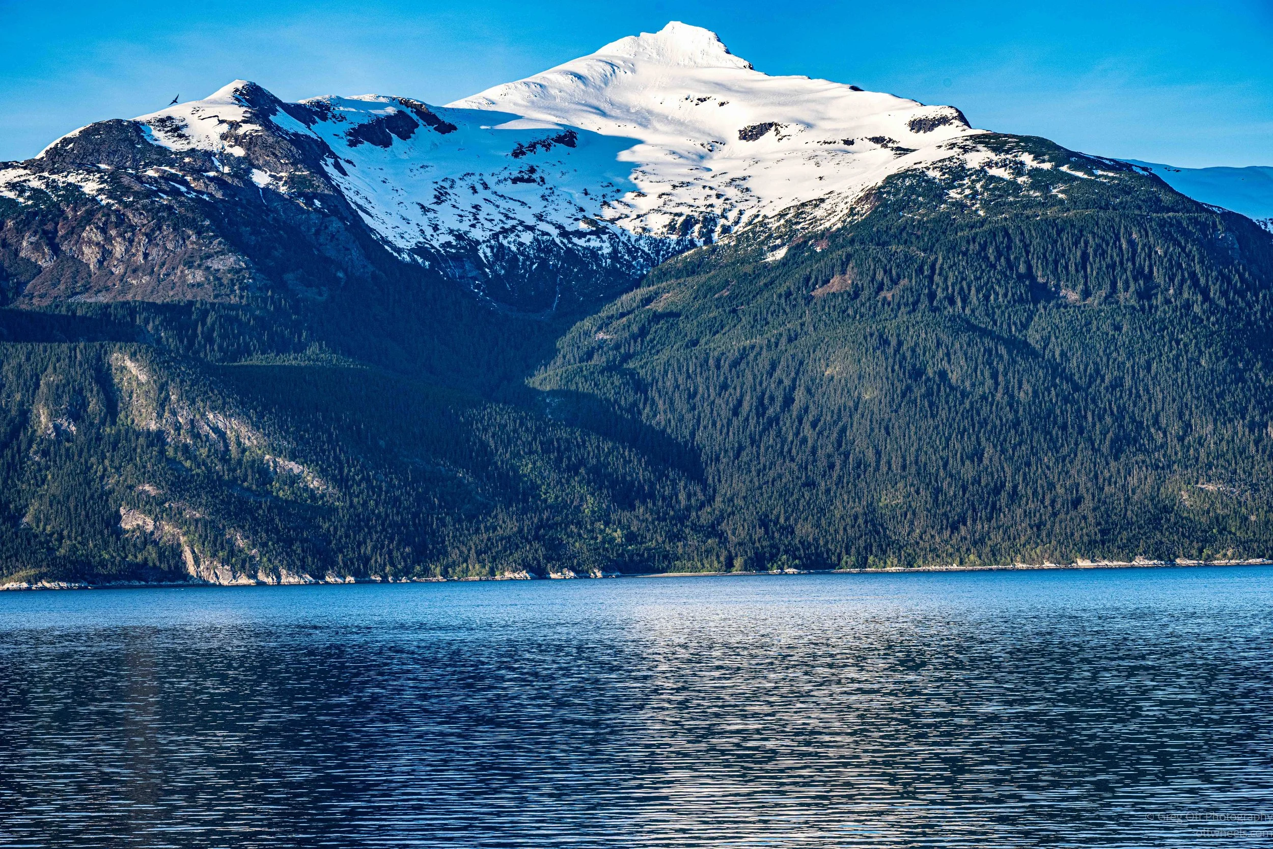 _DSC3090.jpg